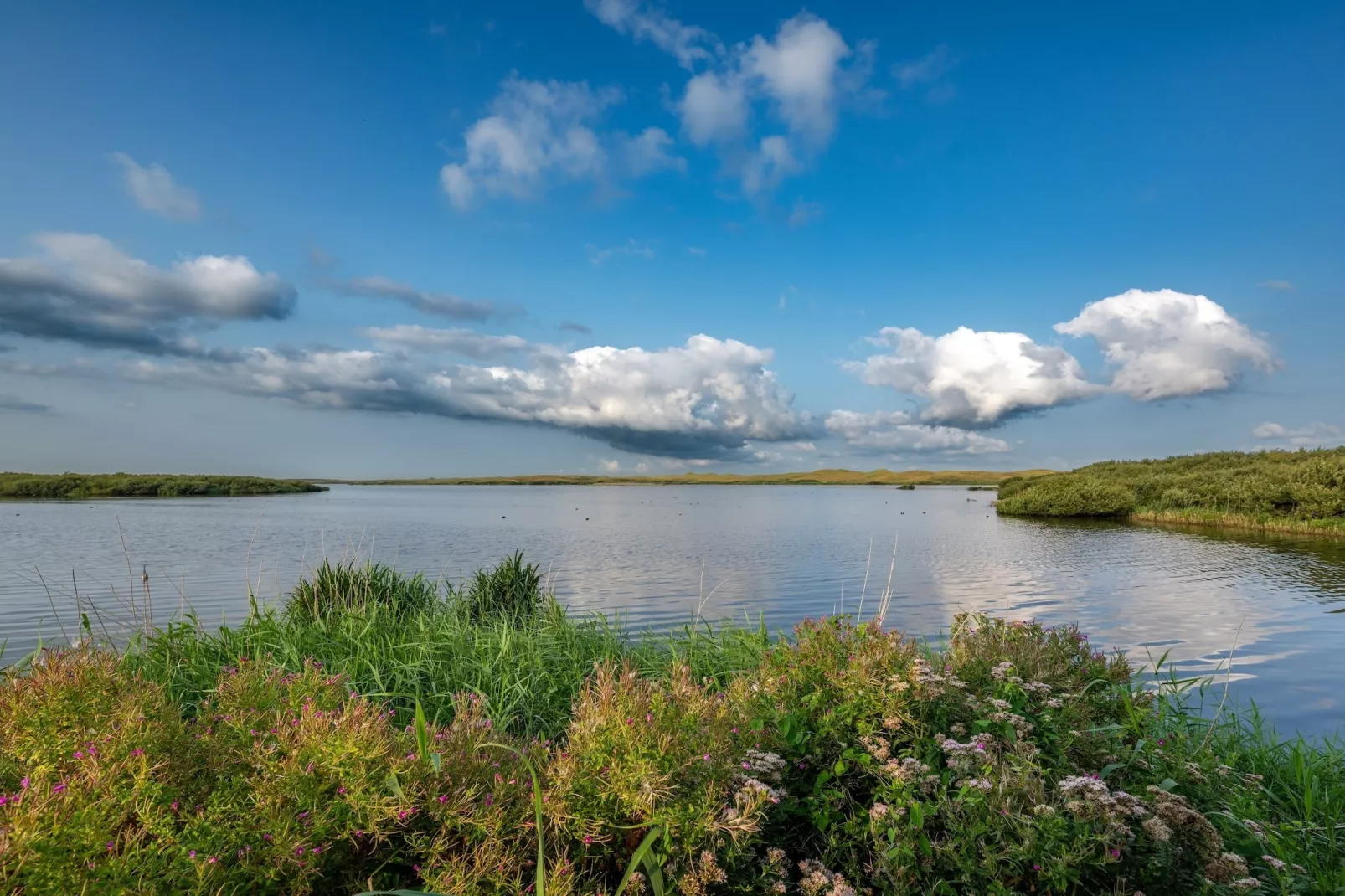 Vossehoeck 1-Uitzicht