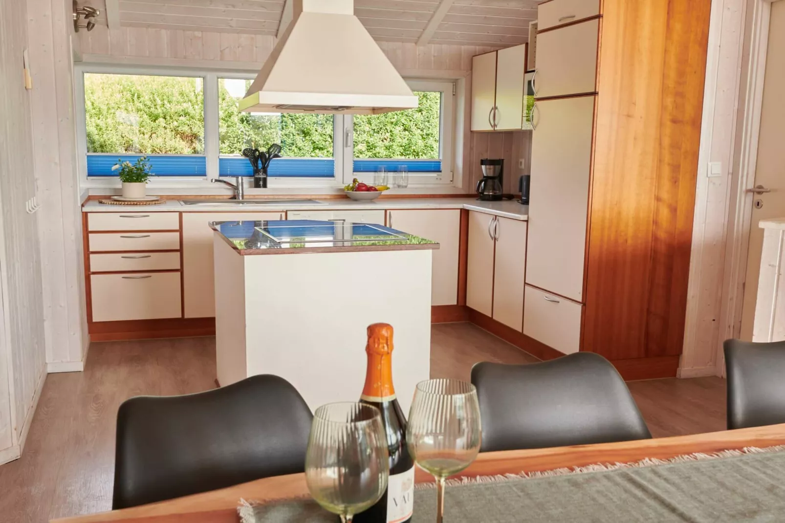 4 sterren vakantie huis in FRIEDRICHKOOG-Binnen