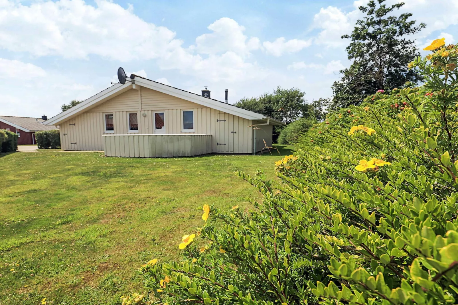 4 sterren vakantie huis in FRIEDRICHKOOG-Buitenlucht