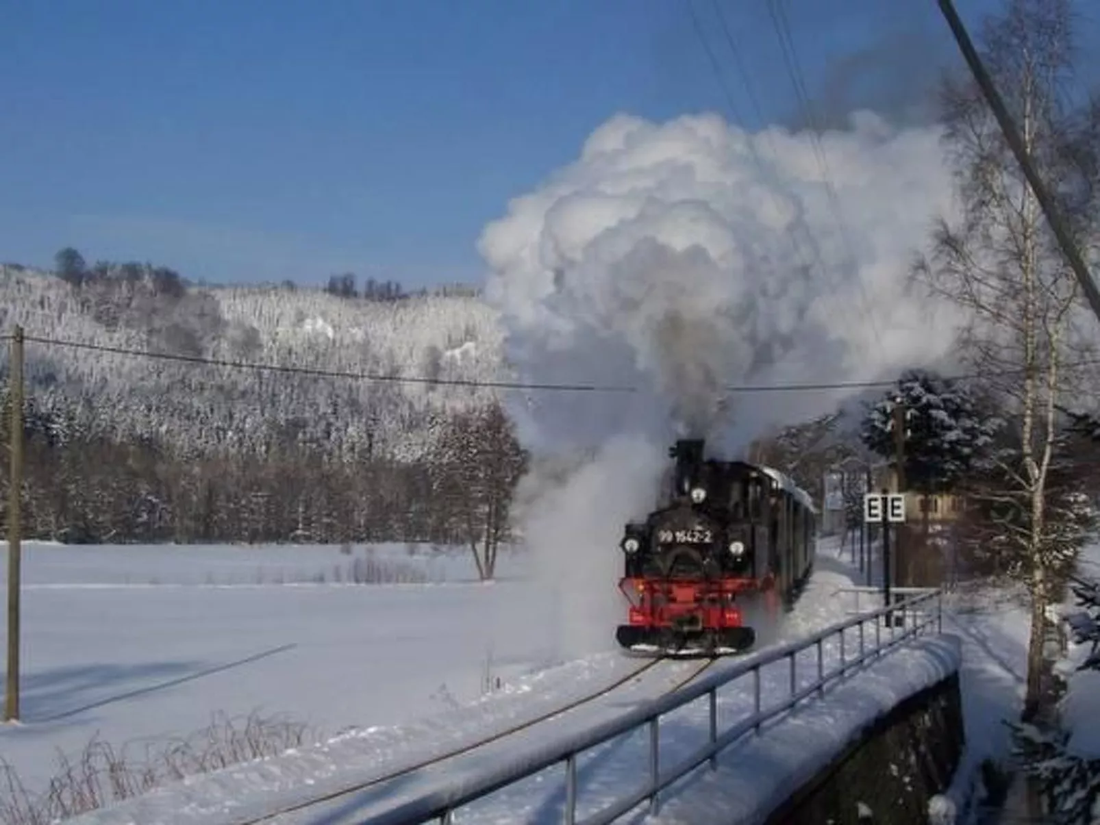 Fewo Katzengold-Buiten