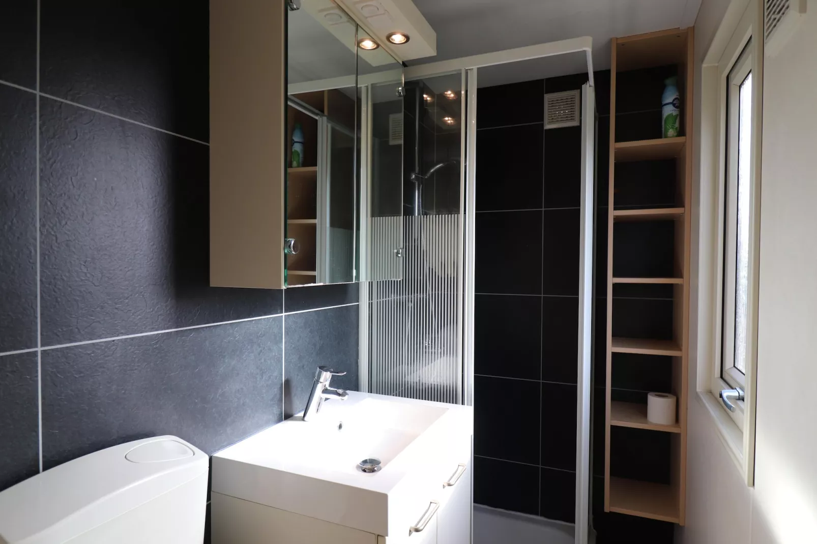 Duinchalet Ameland-Badkamer