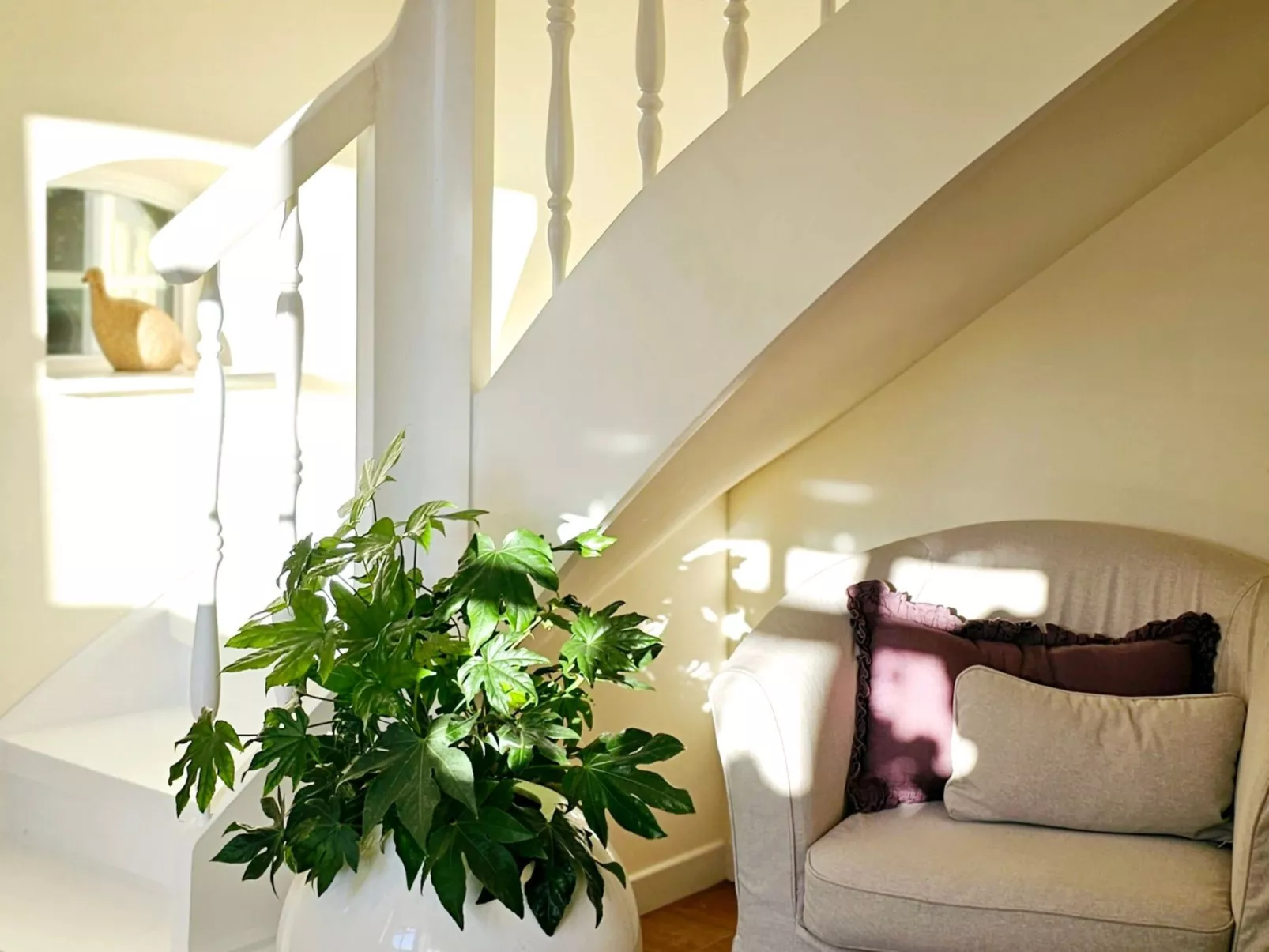 Luxuszeit zu Zweit - Image-tags.info