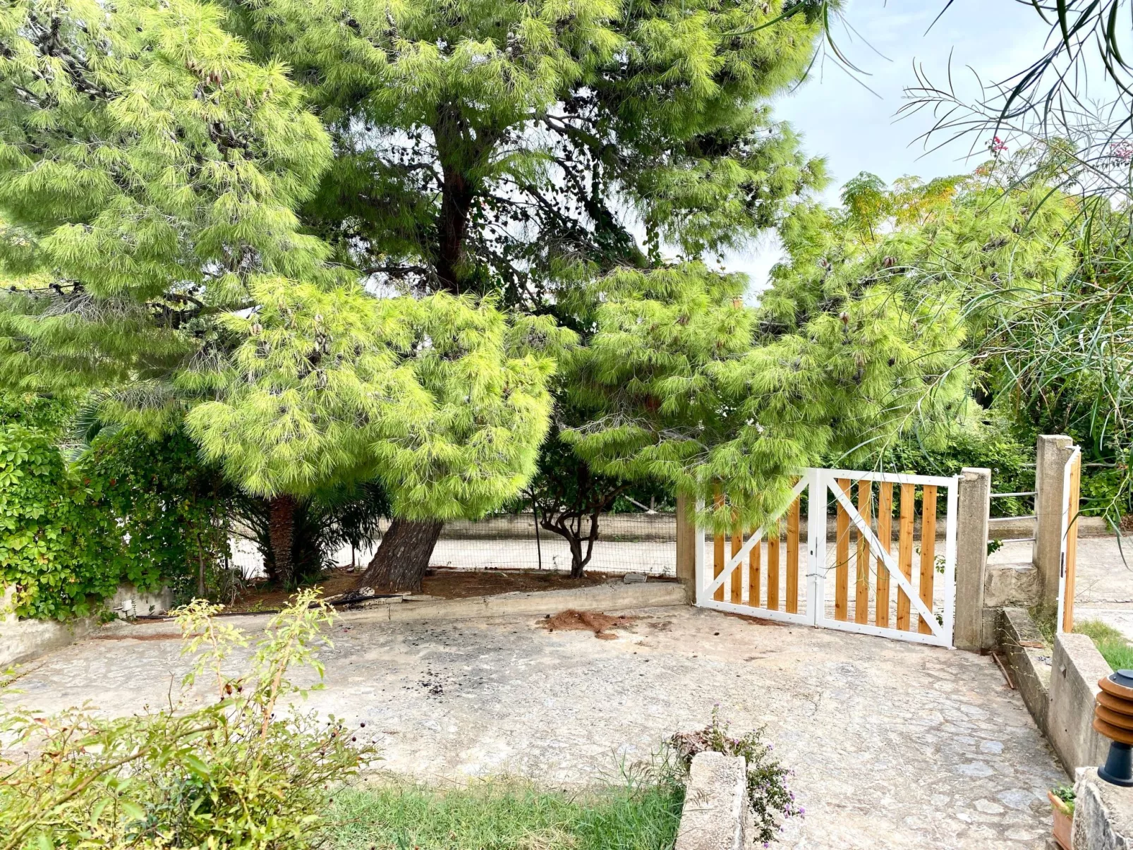 Villa Sao, Scopello, Punta Pispisa - Image-tags.info