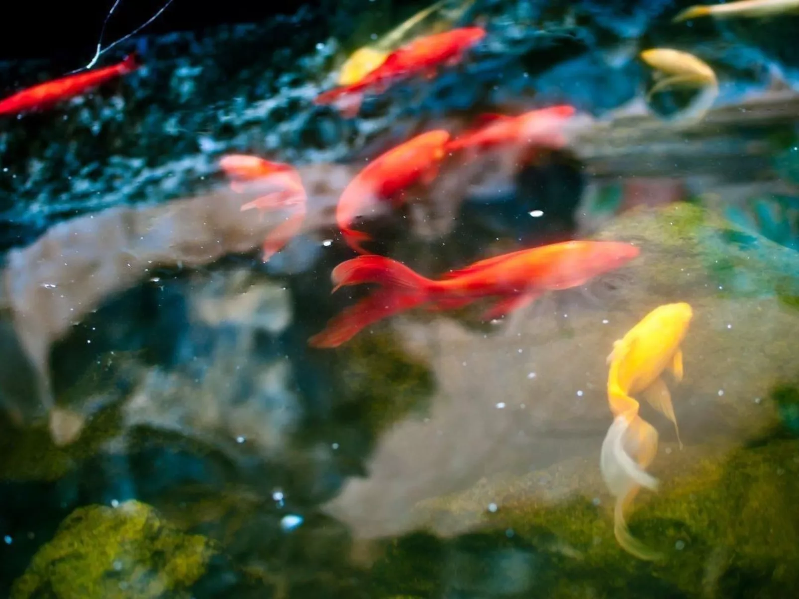 In La Matanza De Acentejo mit Großem Garten und Panoramablick - Image-tags.info