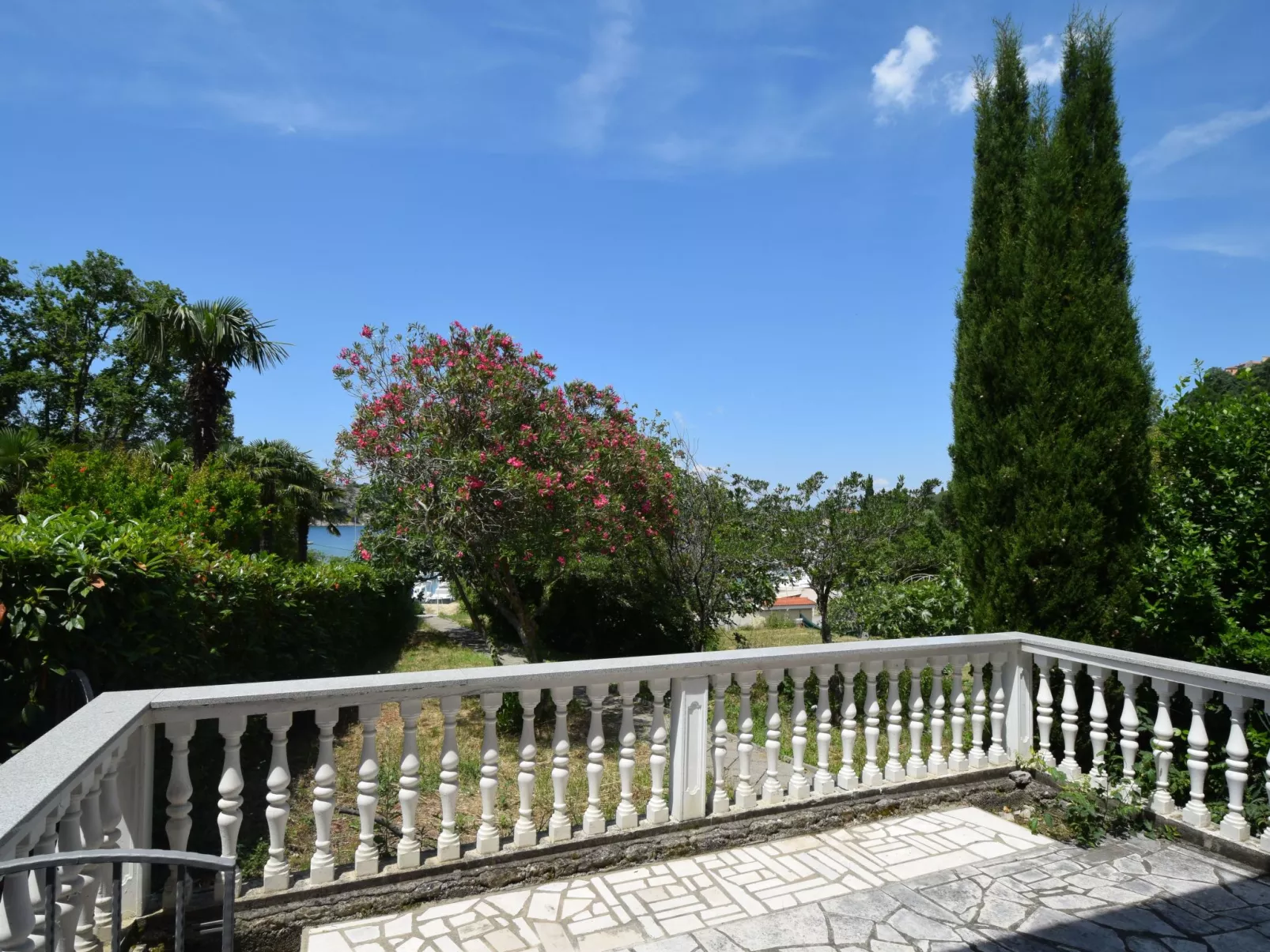 Pesja - Image-tags.info