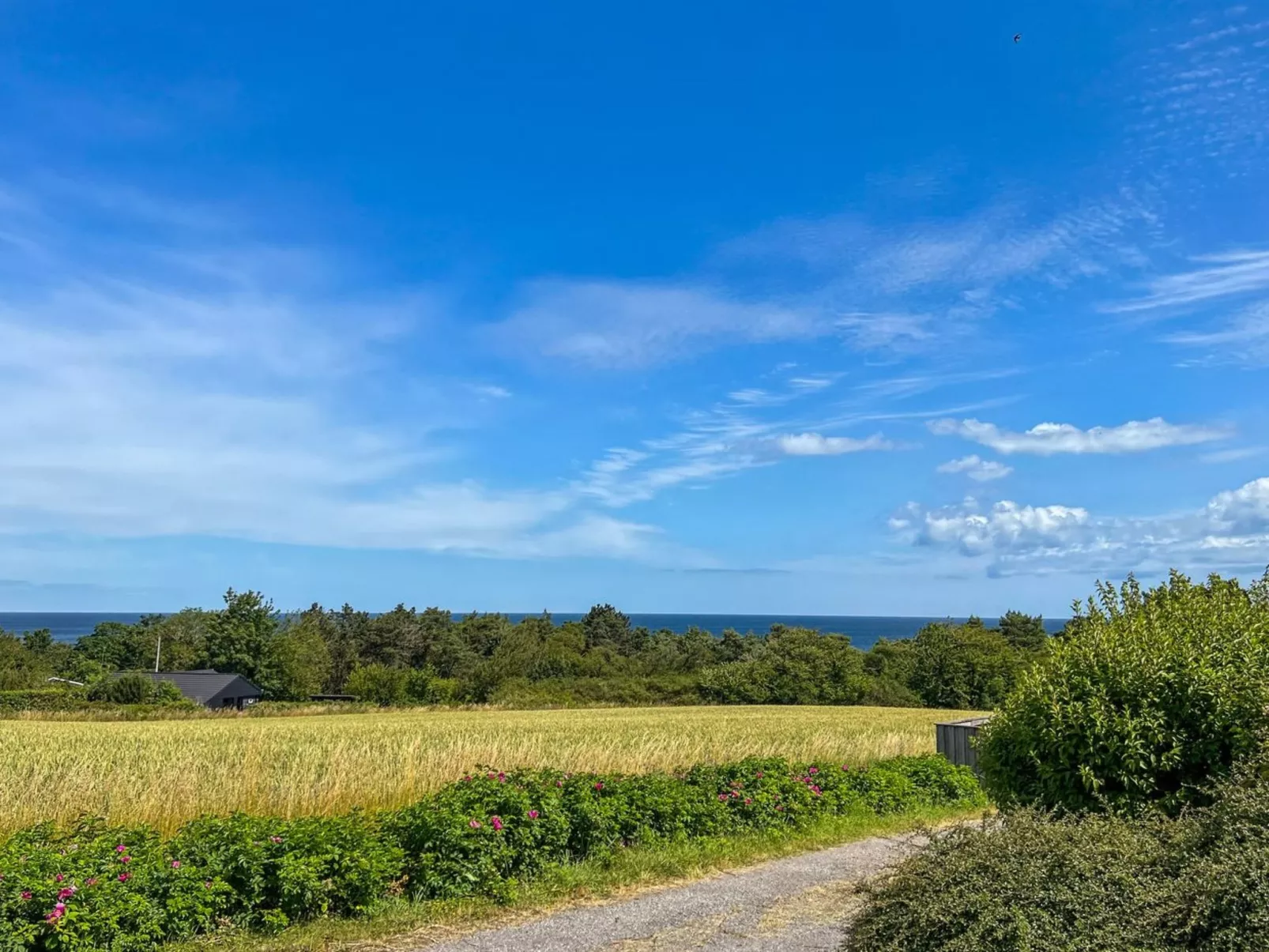 "Kirsti" - 300m from the sea - Buiten