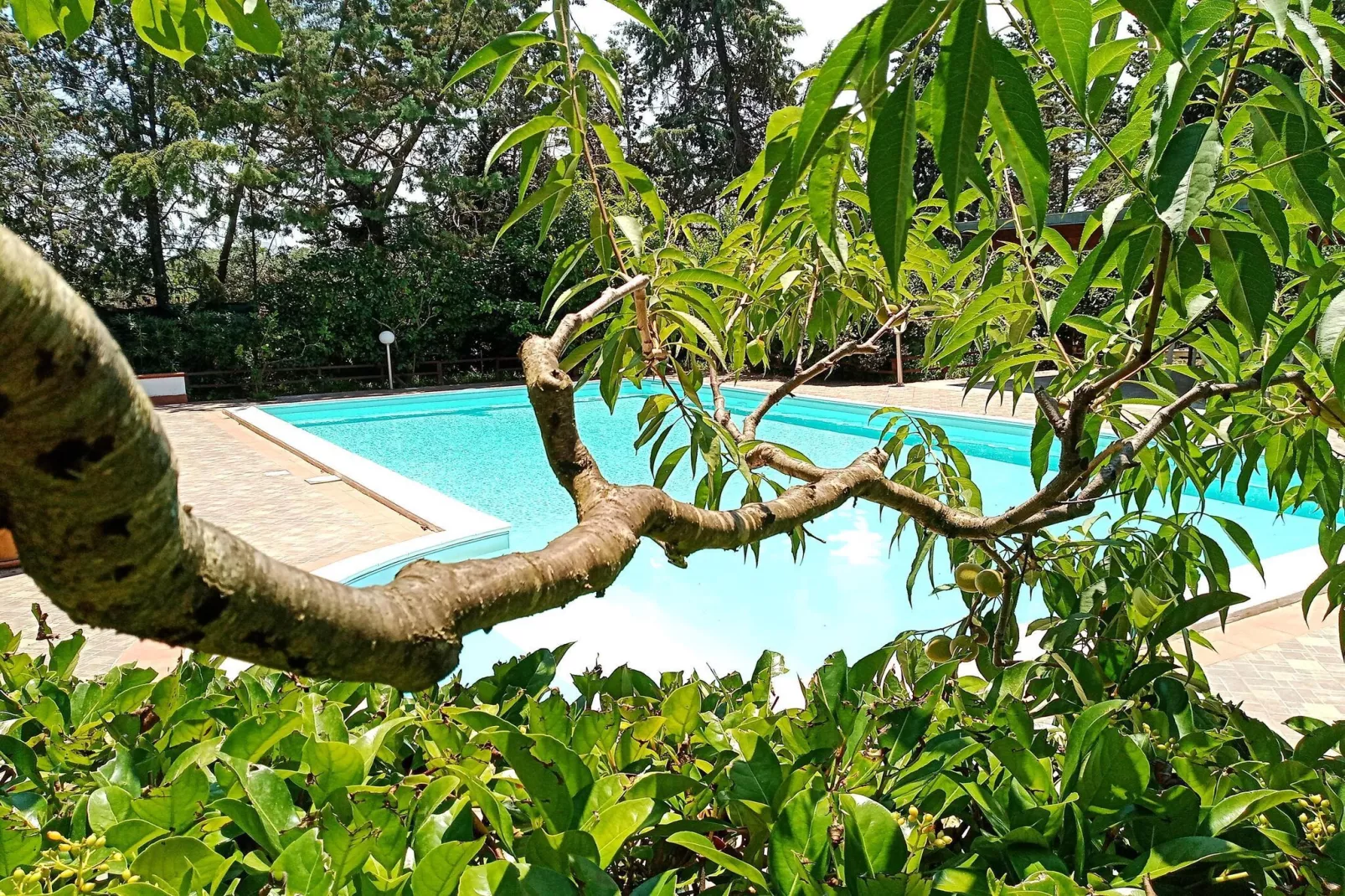 SAPPHIRE HOME - Zwembad