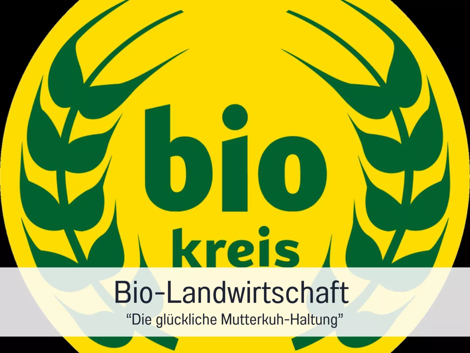 FeWo GRANAT - Image-tags.info