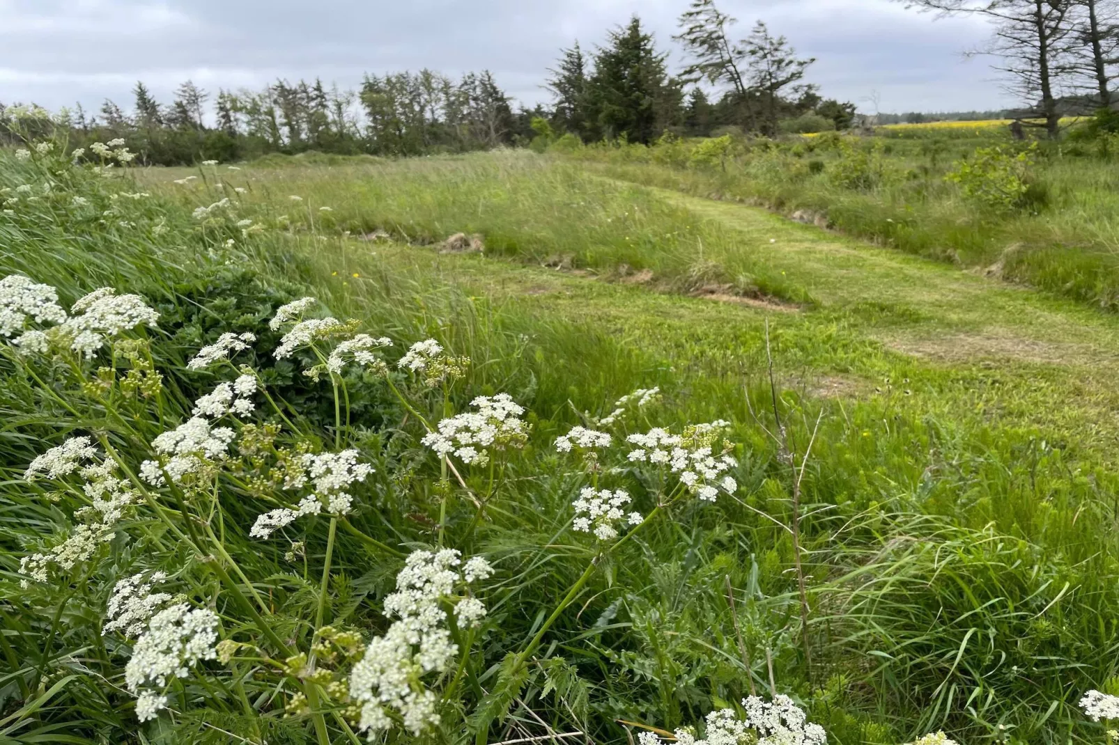 6 persoons vakantie huis in Pandrup-By Traum-Niet-getagd