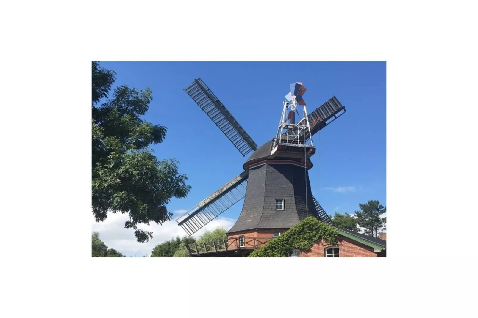 277617 - Gebieden zomer 5km