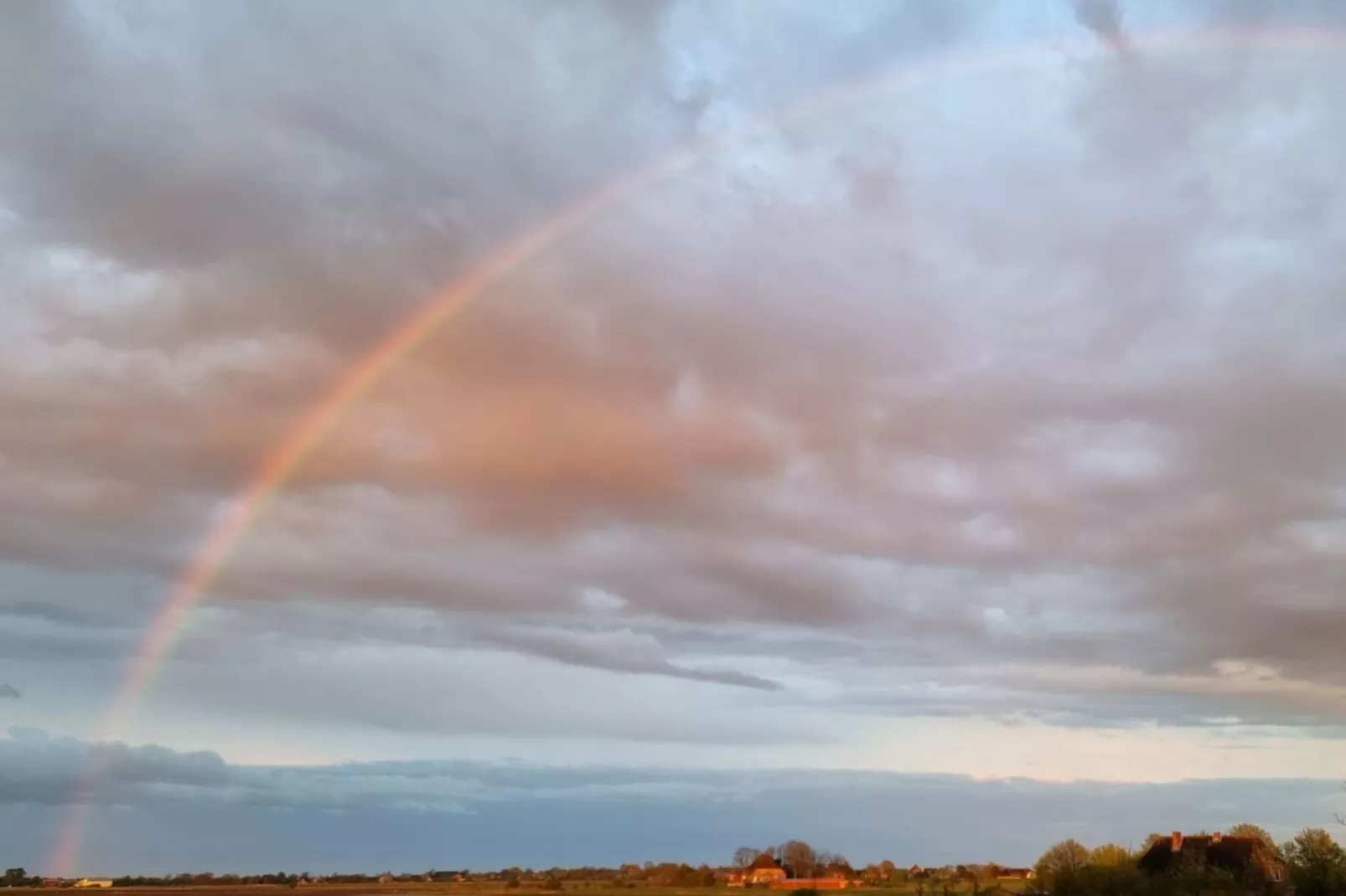 487221 - Gebieden zomer 1km