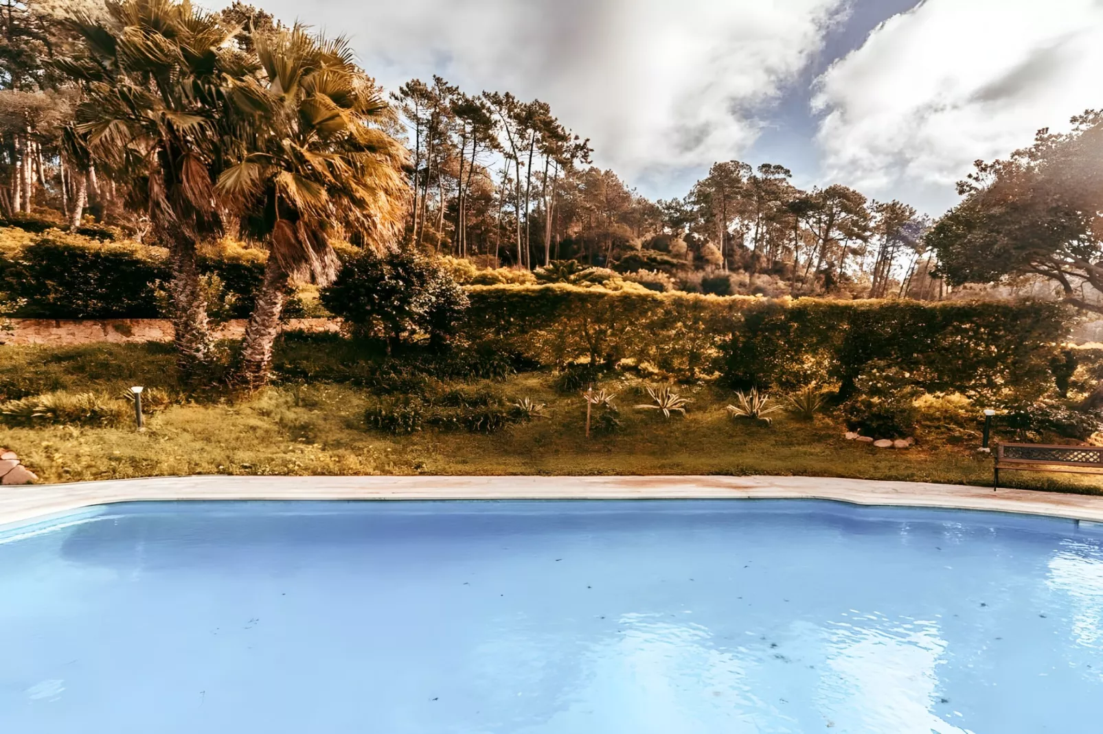 Oliveira's Houses By Gthouse-Zwembad