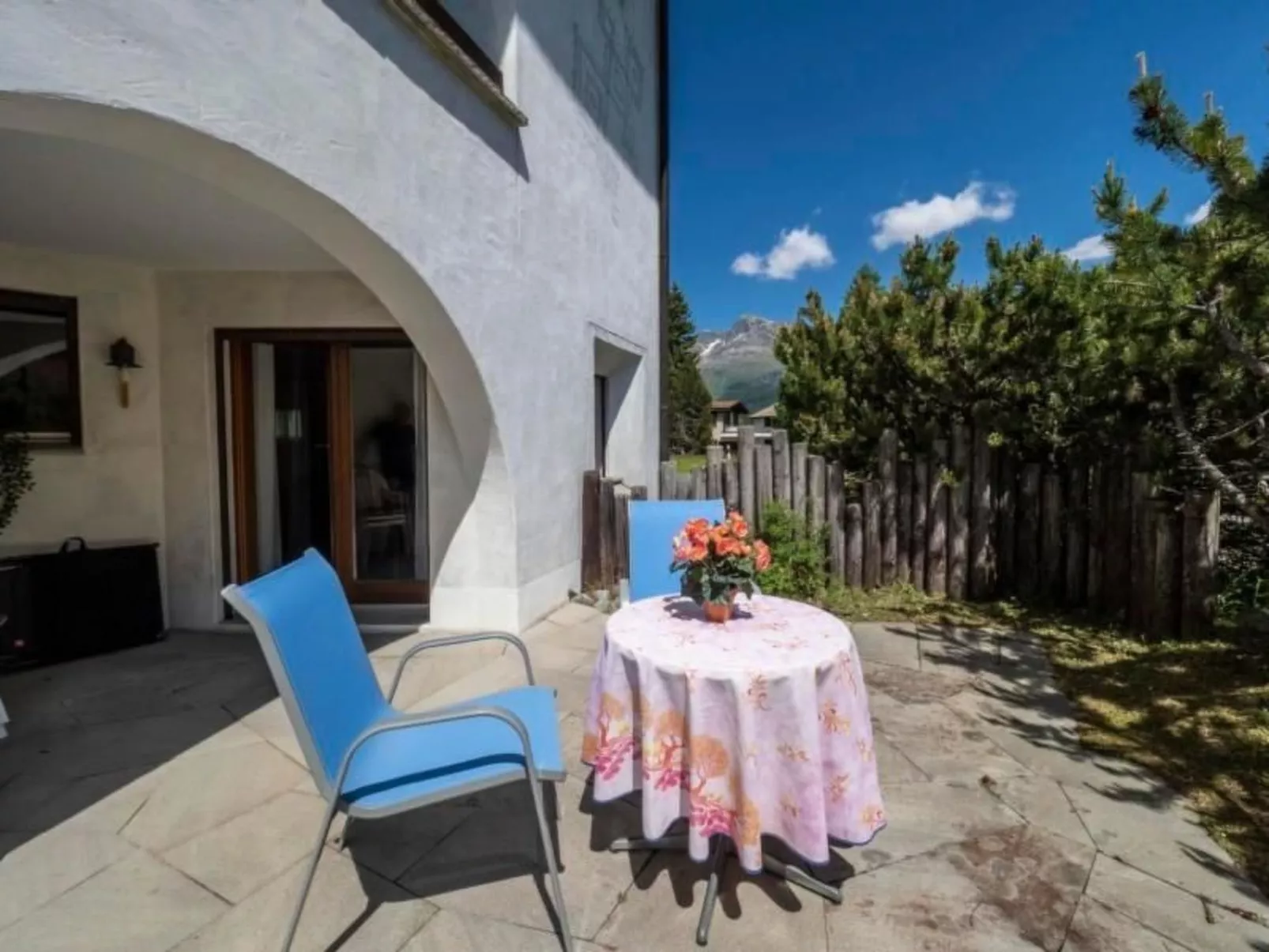 Selvas 12 - Image-tags.info