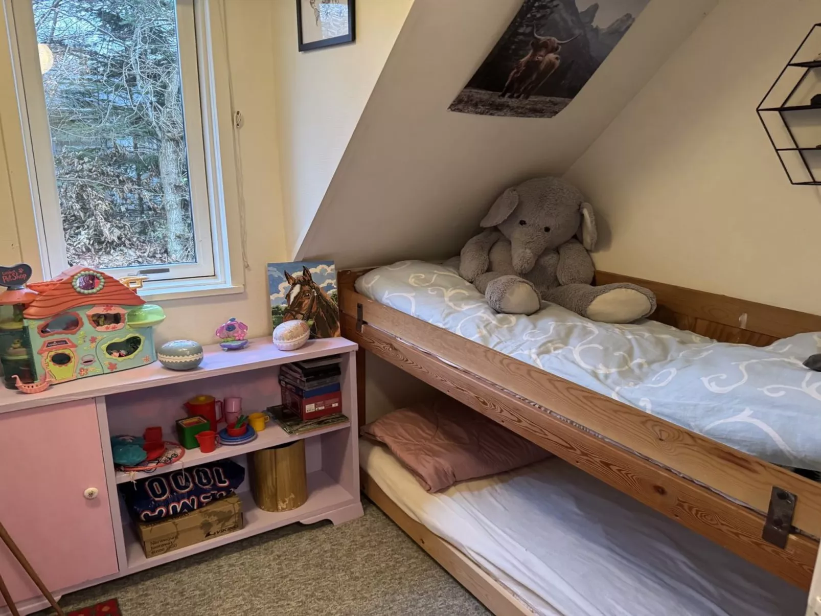 "Diertje" -  from the sea - Binnen