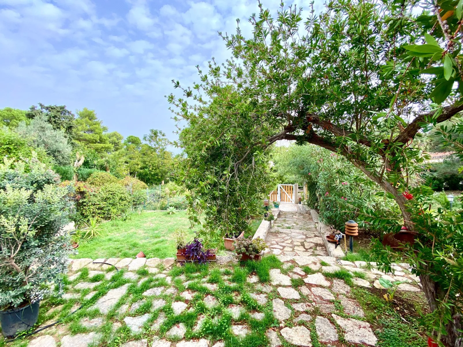 Villa Sao, Scopello, Punta Pispisa - Image-tags.info