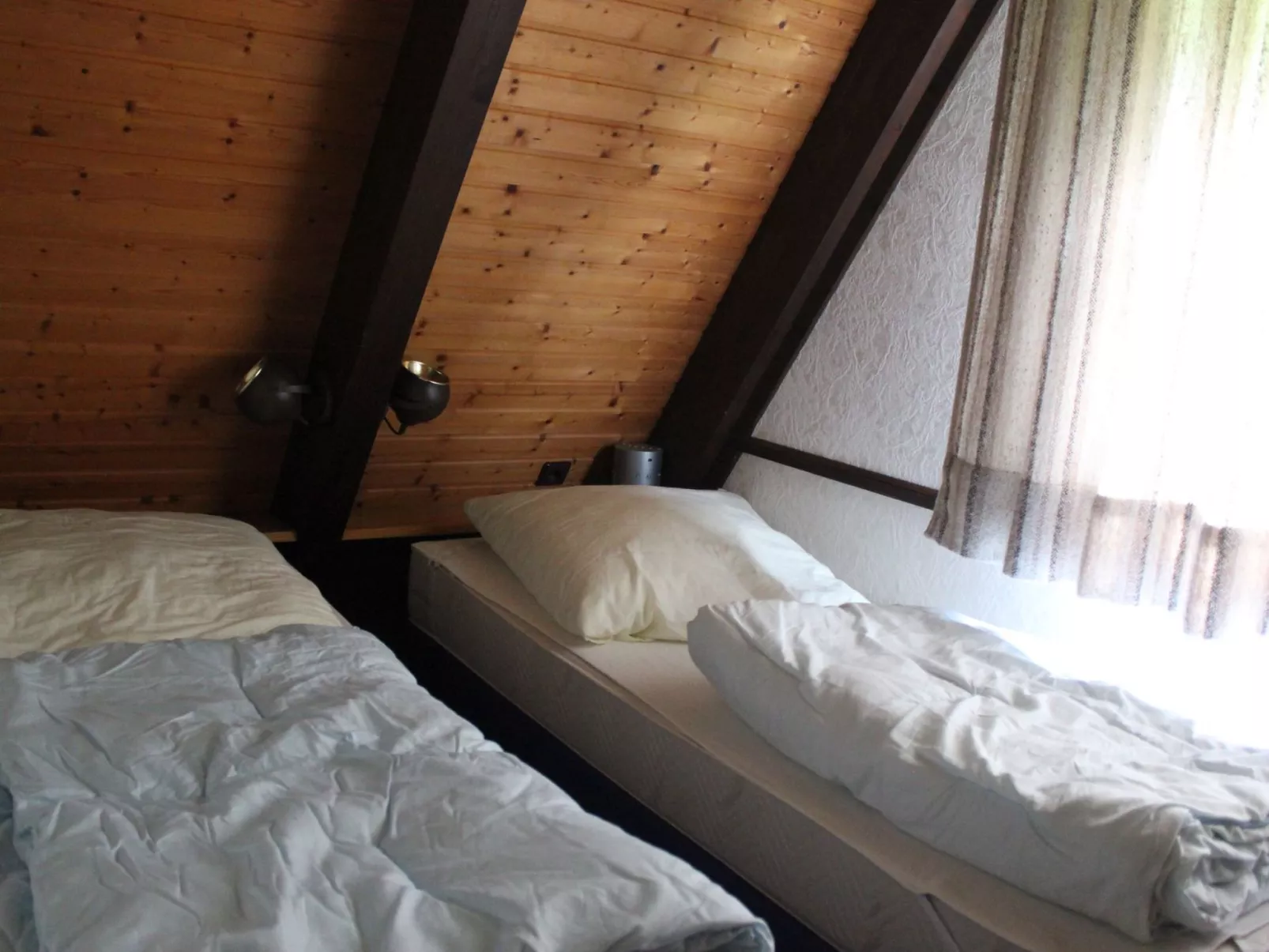 Mohnblume - Image-tags.info