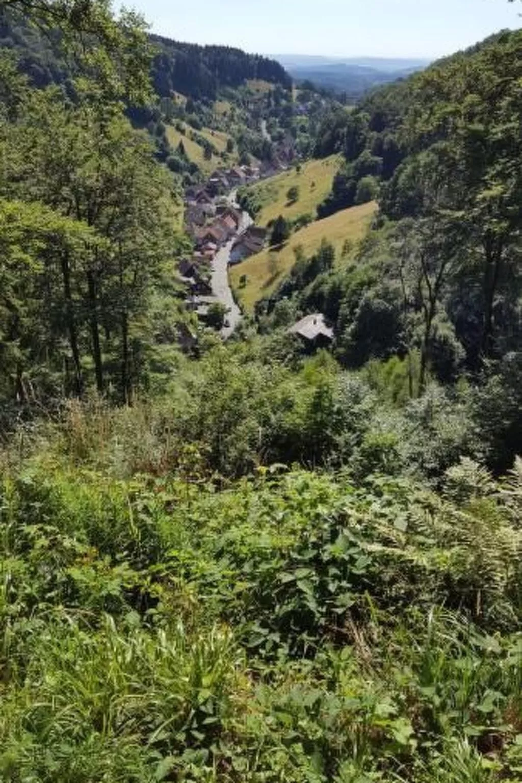 Gemütliche Wohnung in Lerbach mit Terrasse, Garten - Image-tags.info