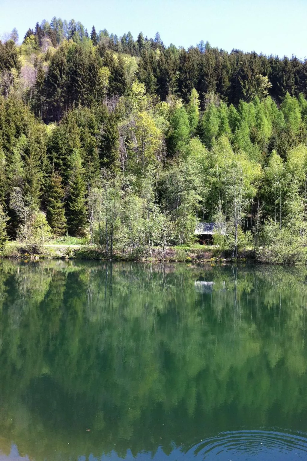 Für 8 Personen ca. 80 m&sup2; in Sankt Lorenzen ob Murau, Steiermark (Obersteie - Image-tags.info