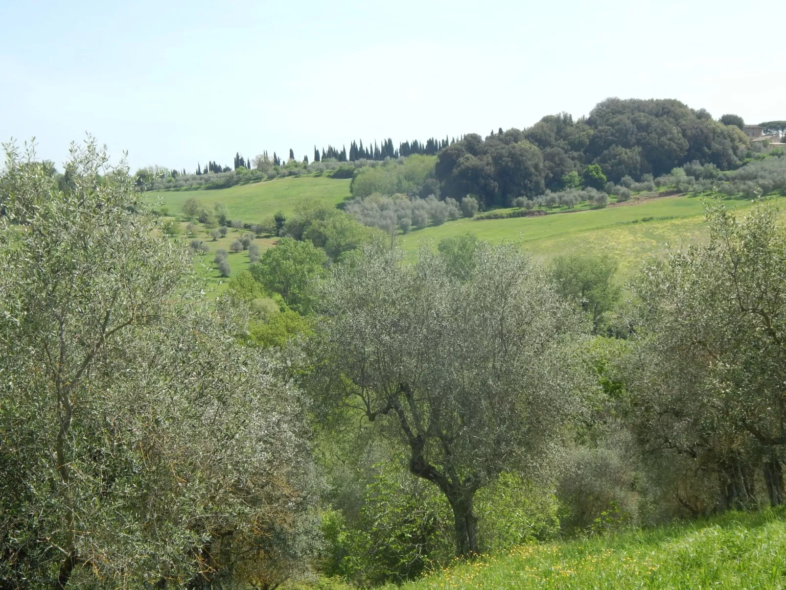 Wohnung auf dem Lande, 3 km vom Zentrum von Siena entfernt - Buiten