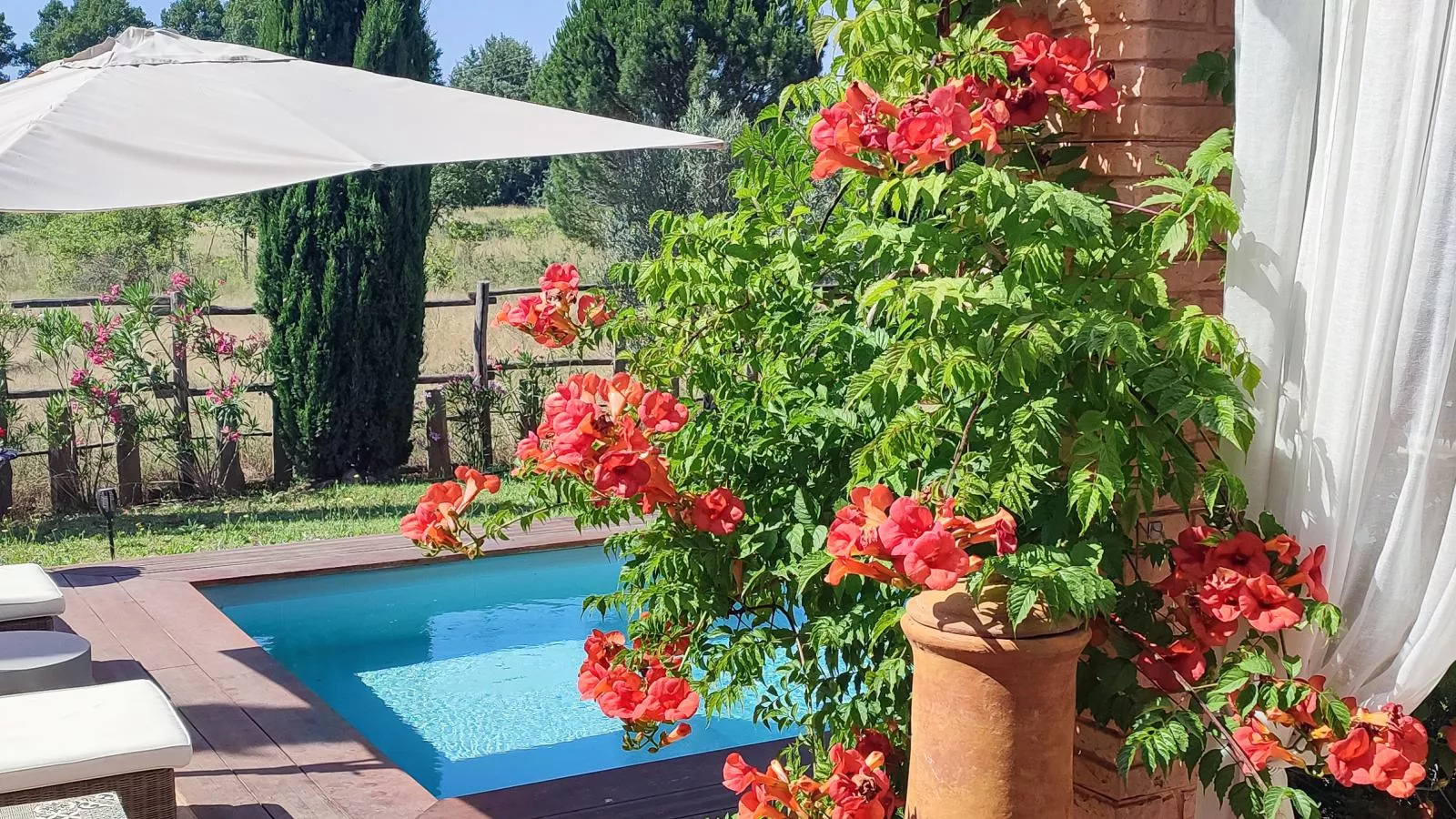 Citron - Tuinen zomer