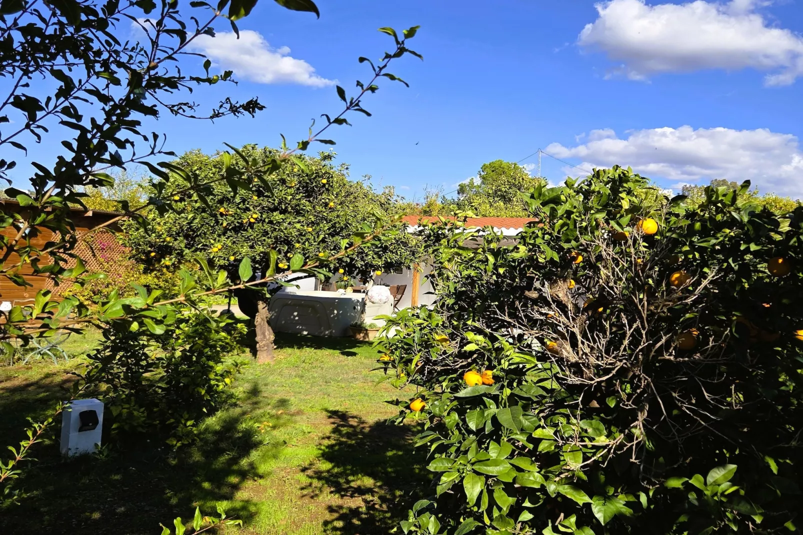 Casita Cartama - Tuinen zomer