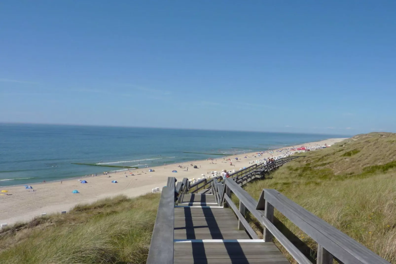 41327-Gebieden zomer 5km