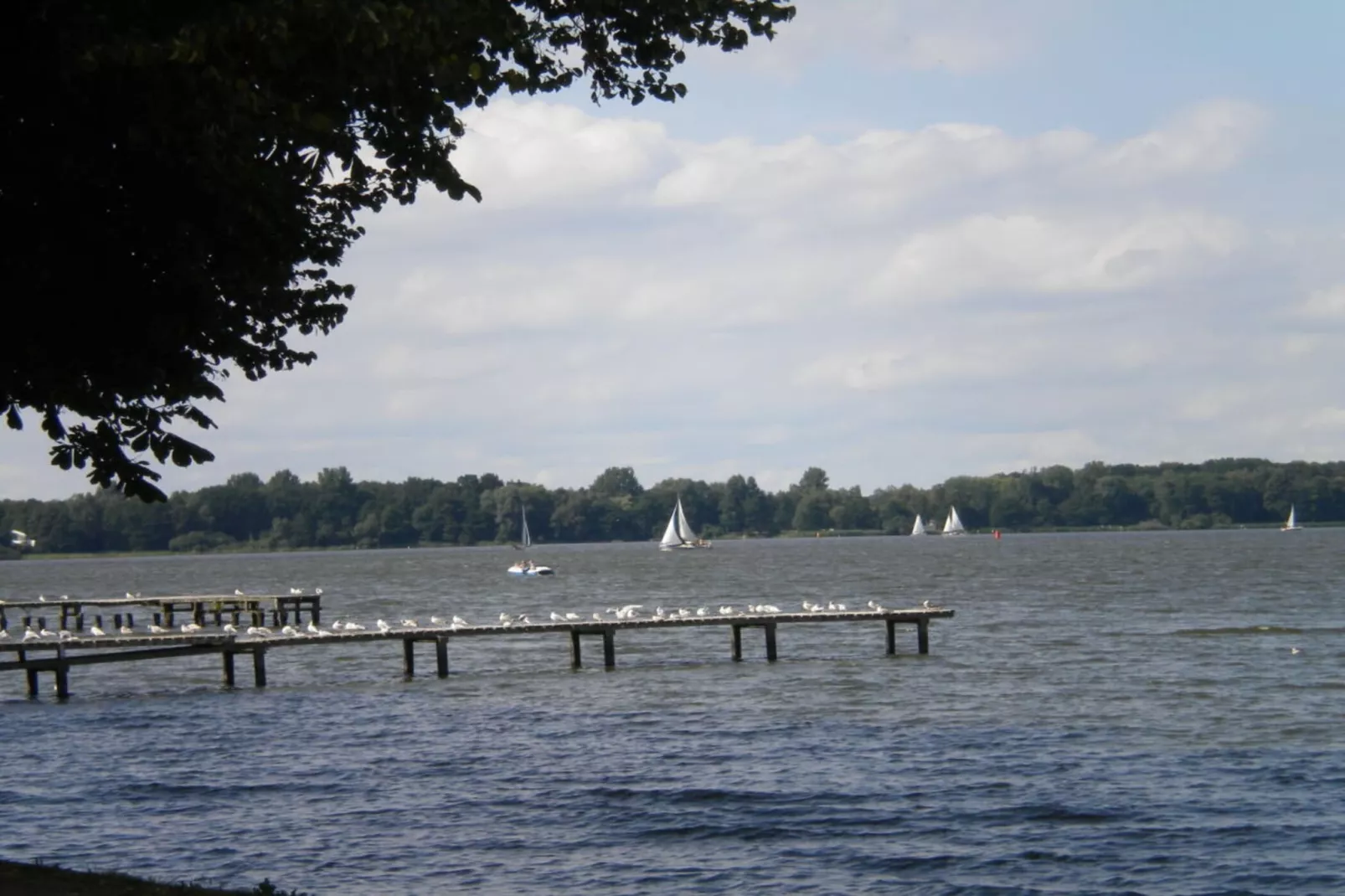 277617 - Gebieden zomer 5km