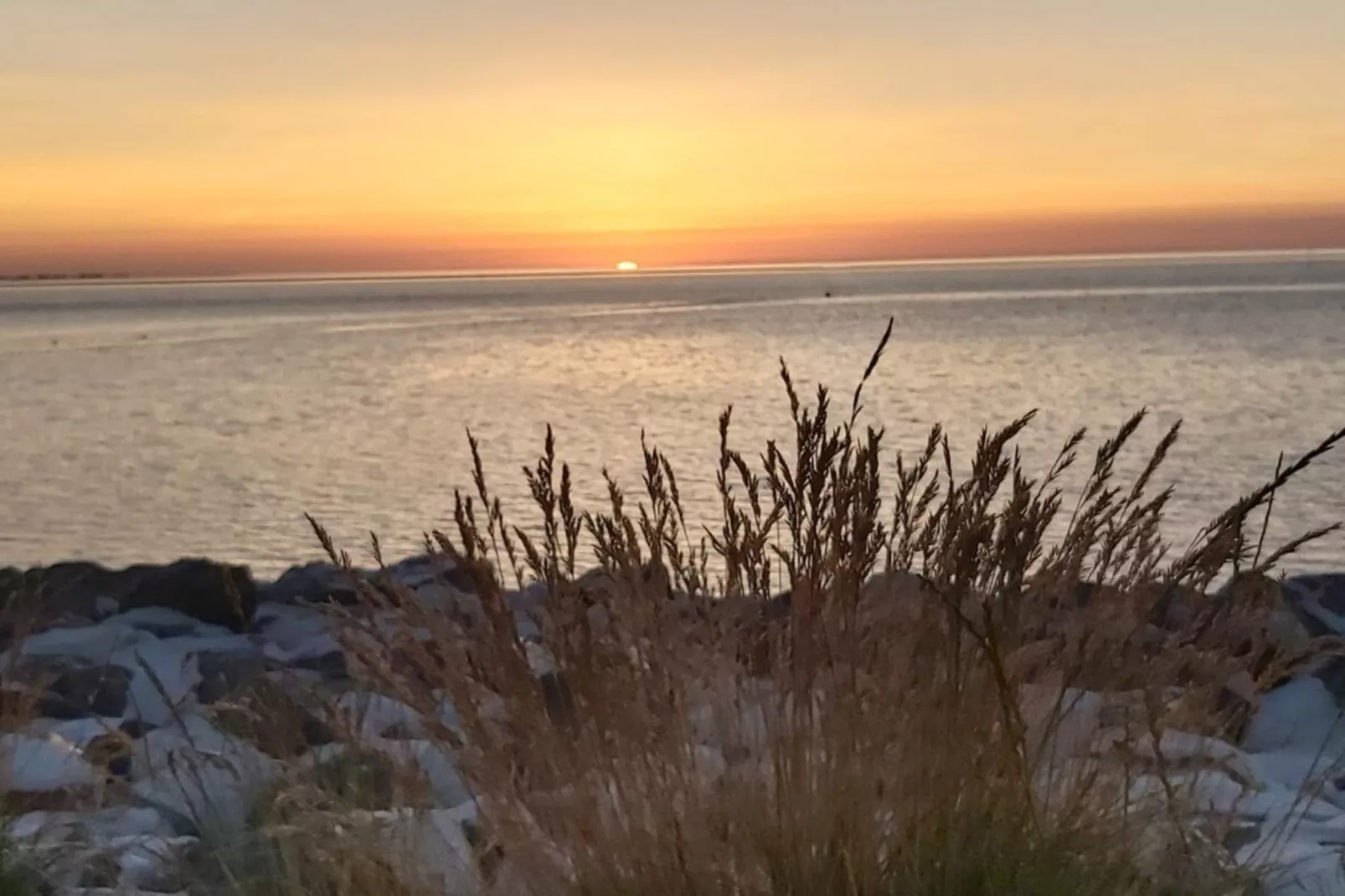 490310 - Gebieden zomer 5km