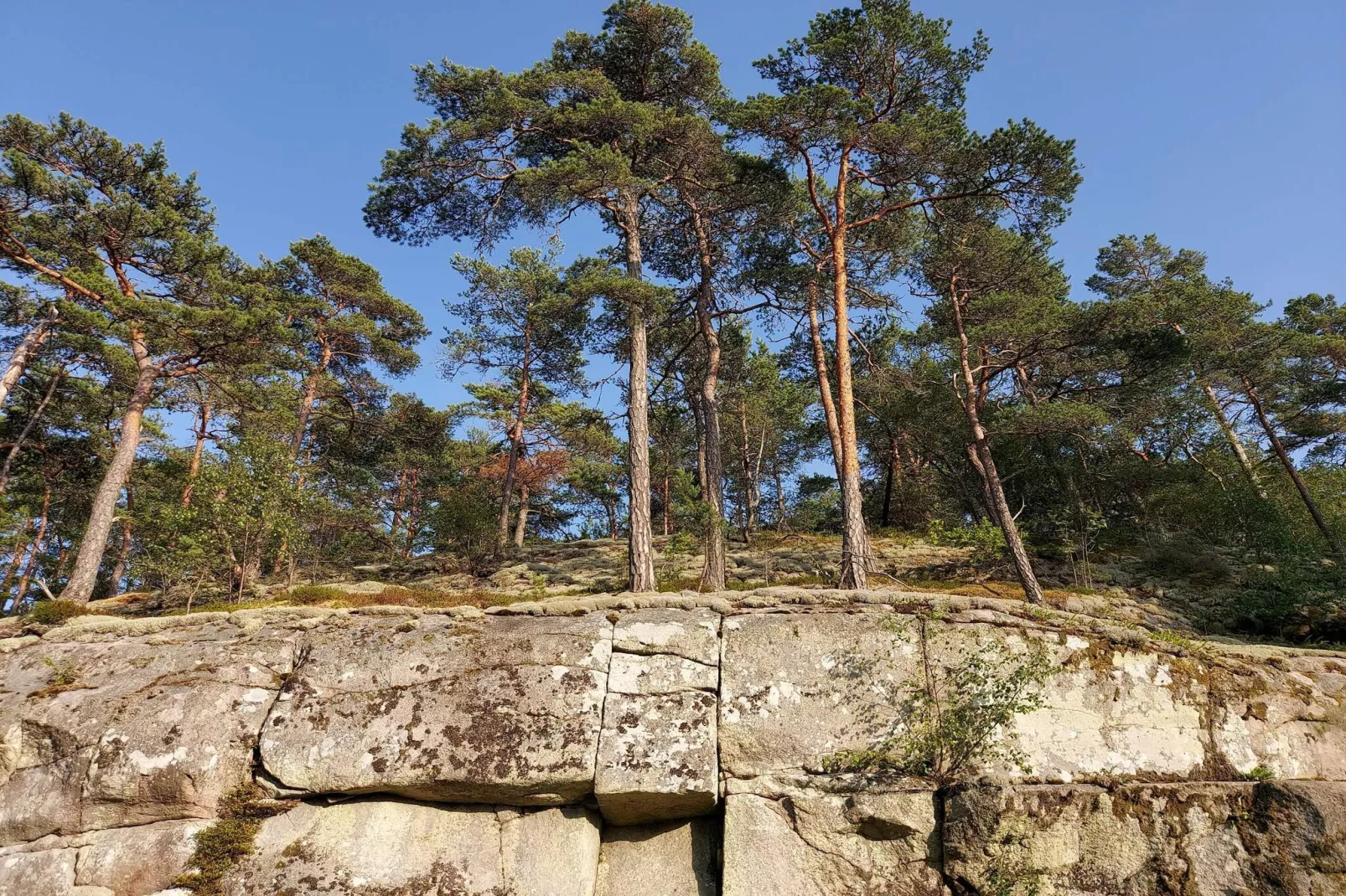 4 sterren vakantie huis in tånumshede-By Traum - Niet-getagd