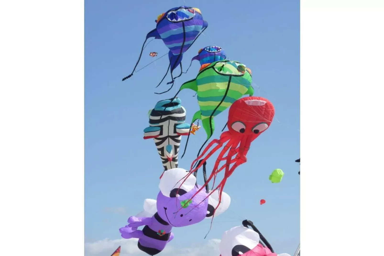 386347-Gebieden zomer 5km