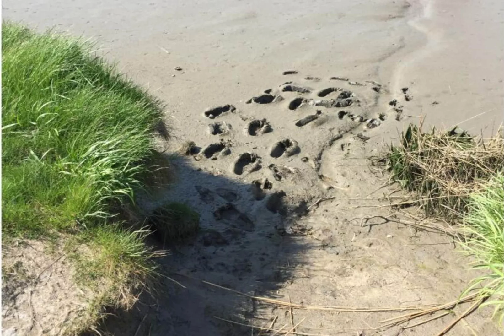 411188 - Tuinen zomer