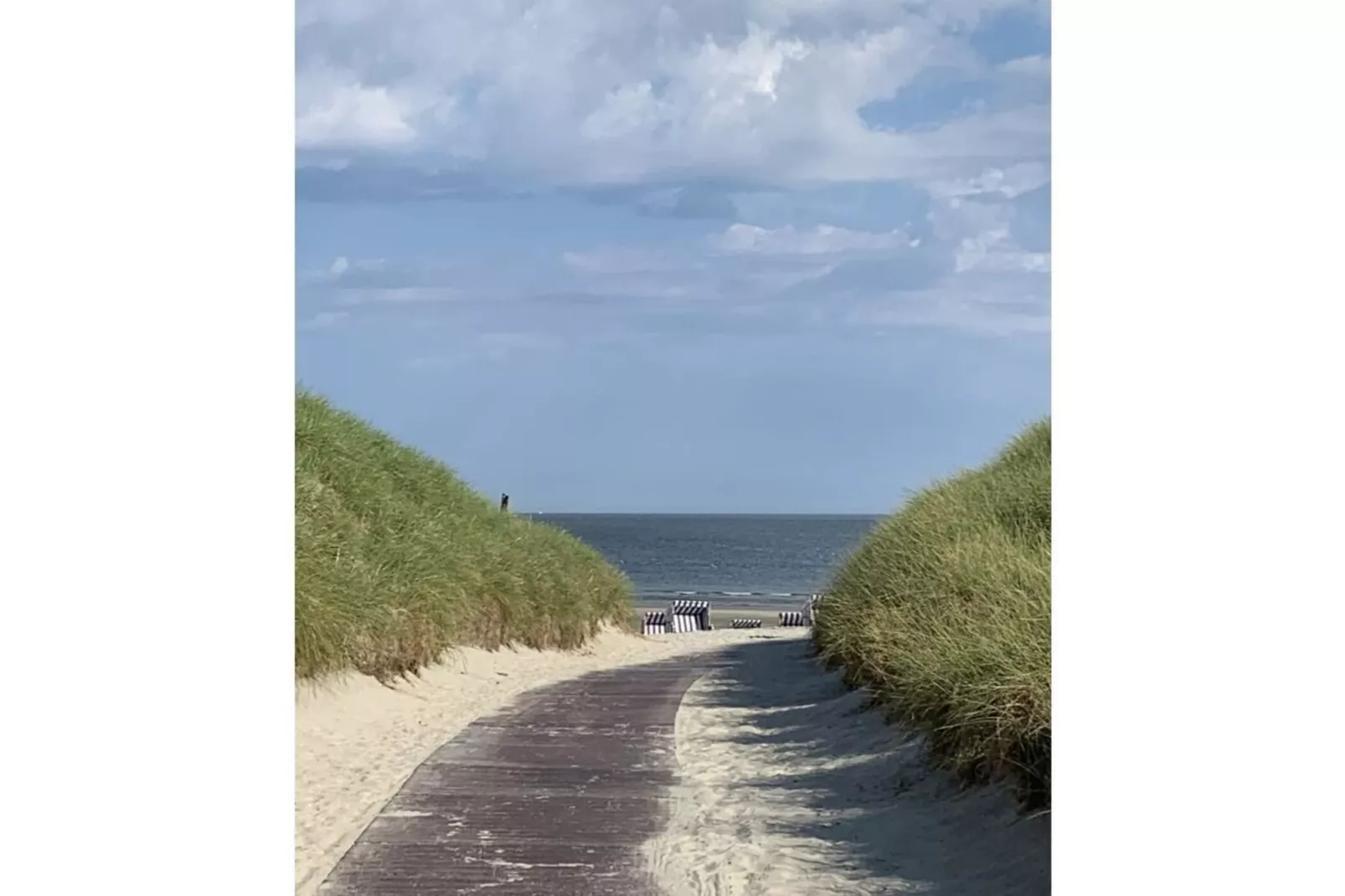 479985 - Gebieden zomer 5km