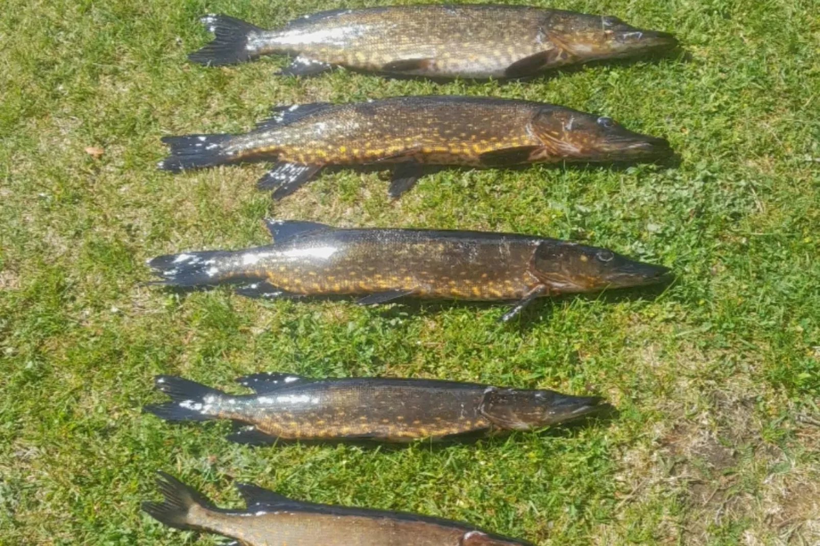 10 Personen vakantie huis in Årnes-Niet-getagd