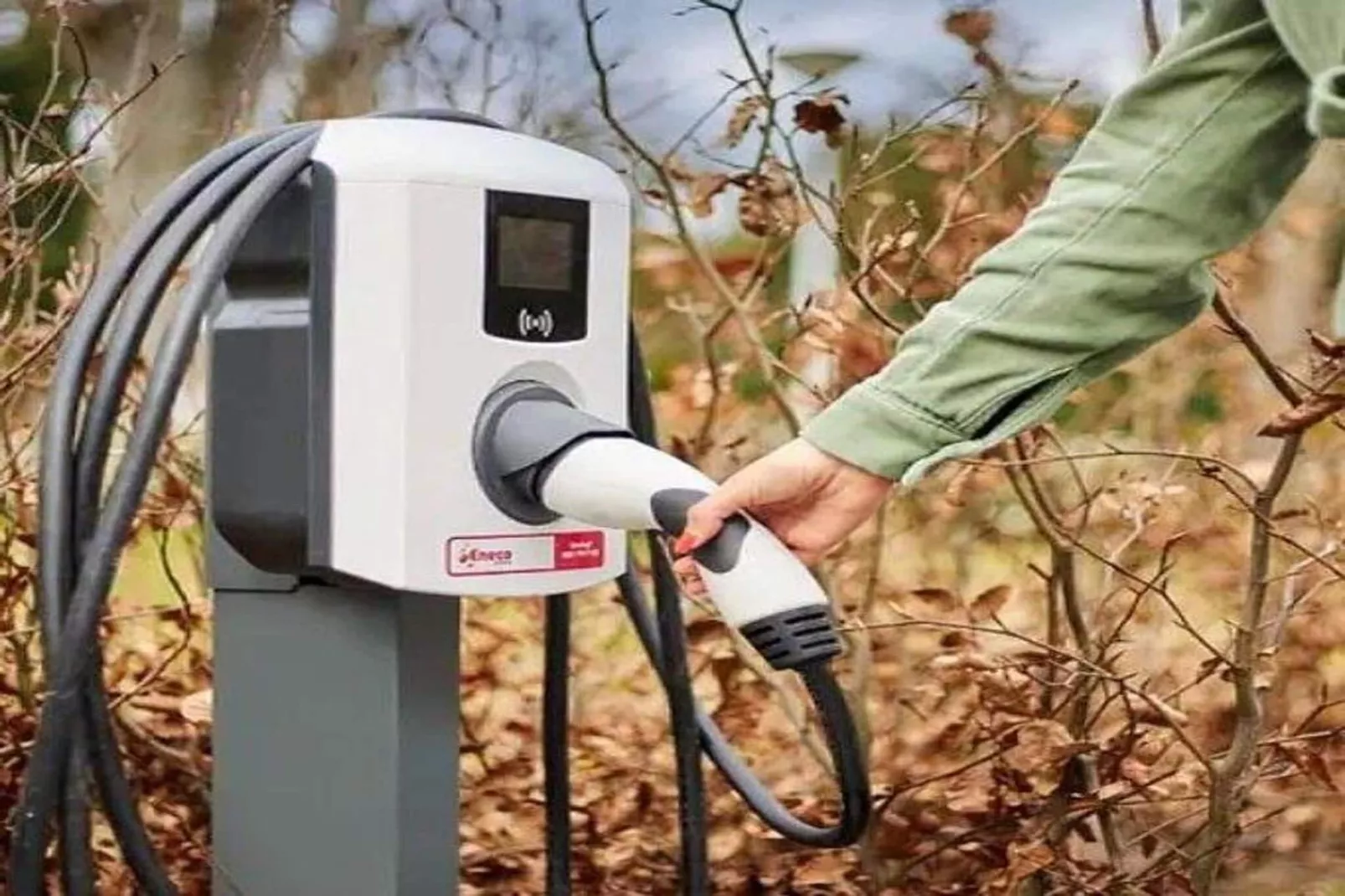 Beach Lodges-Parkfaciliteiten