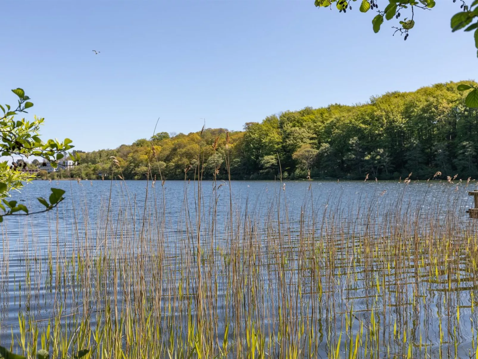 "Karlotta" - 500m from the sea - Buiten