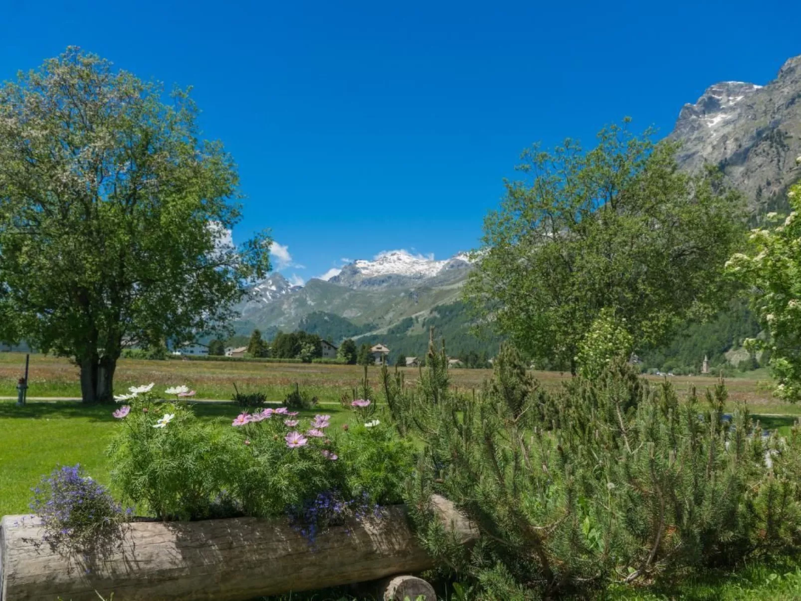 Chesa Flur Sulagl 1 - Image-tags.info