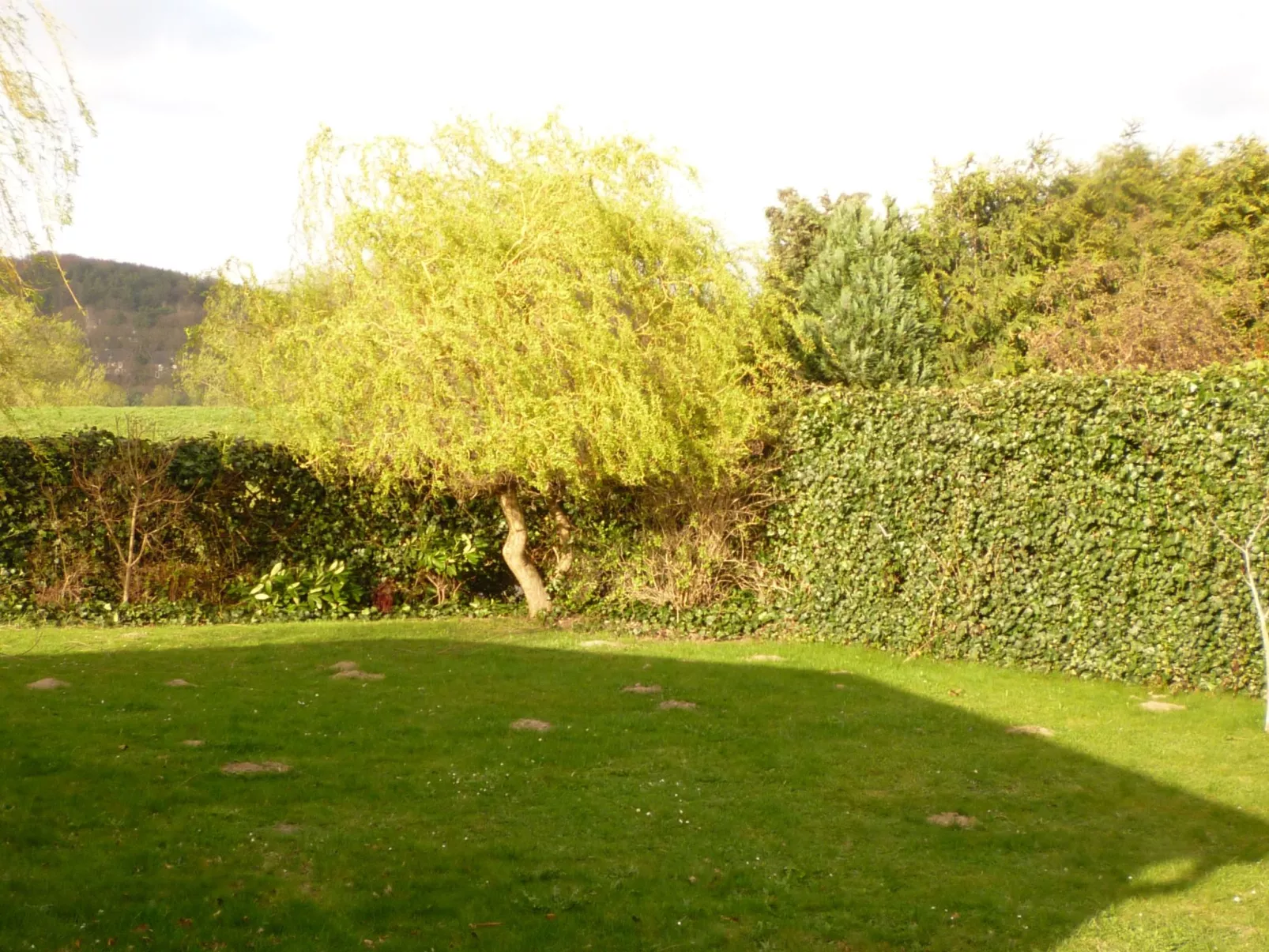 Elbufer - Image-tags.info