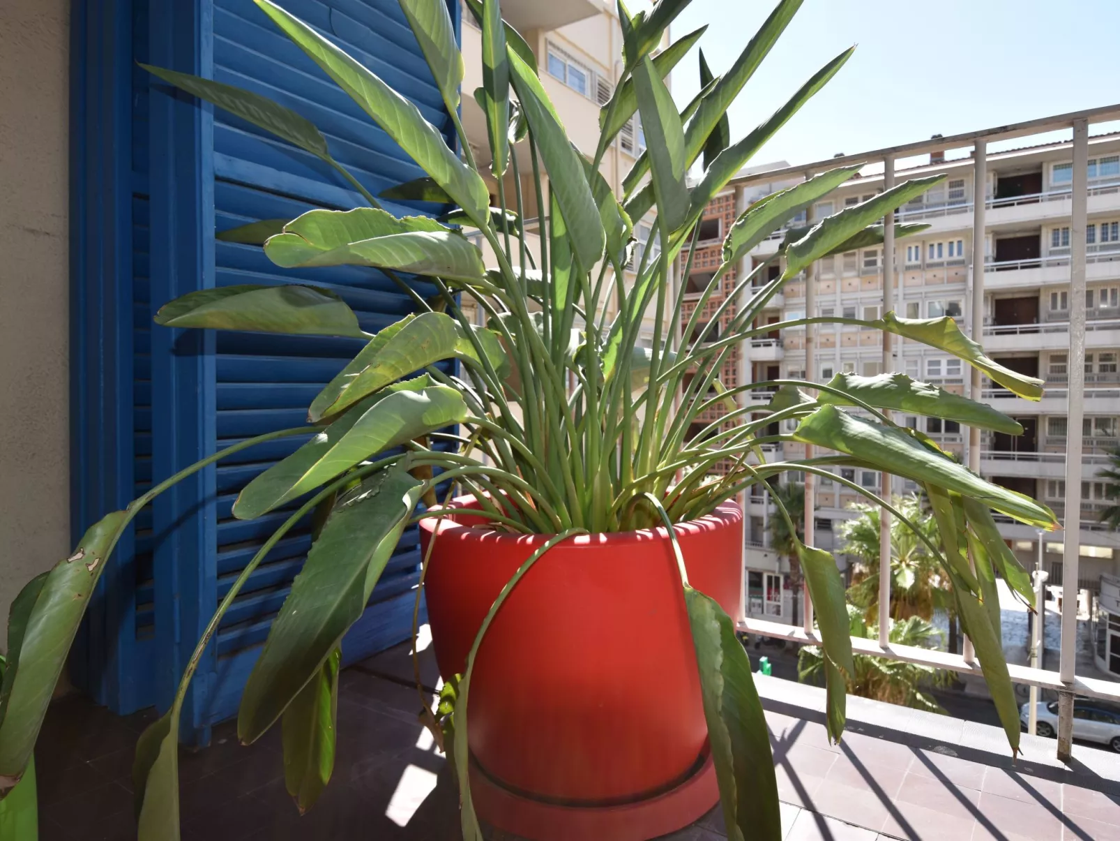 Le Gambetta - Image-tags.info