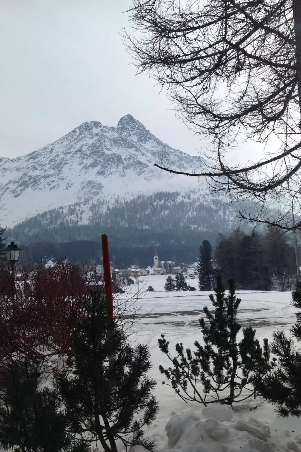 Studio Genziana - Image-tags.info