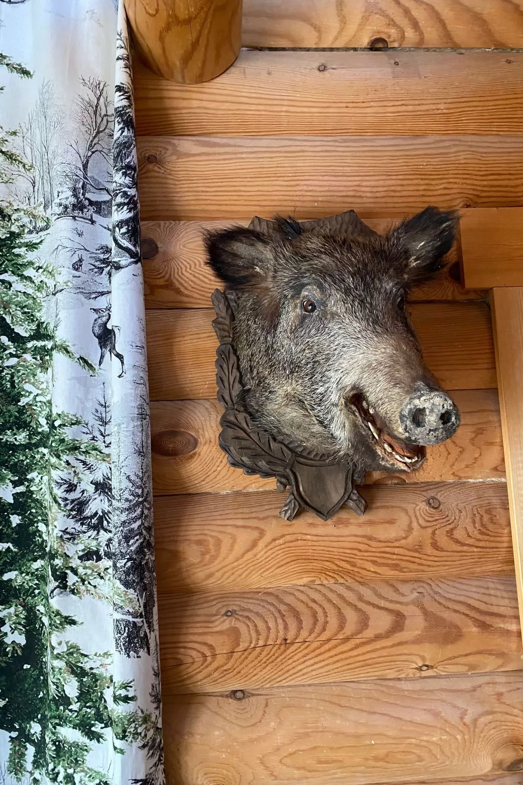 Am Rennsteig - Image-tags.info