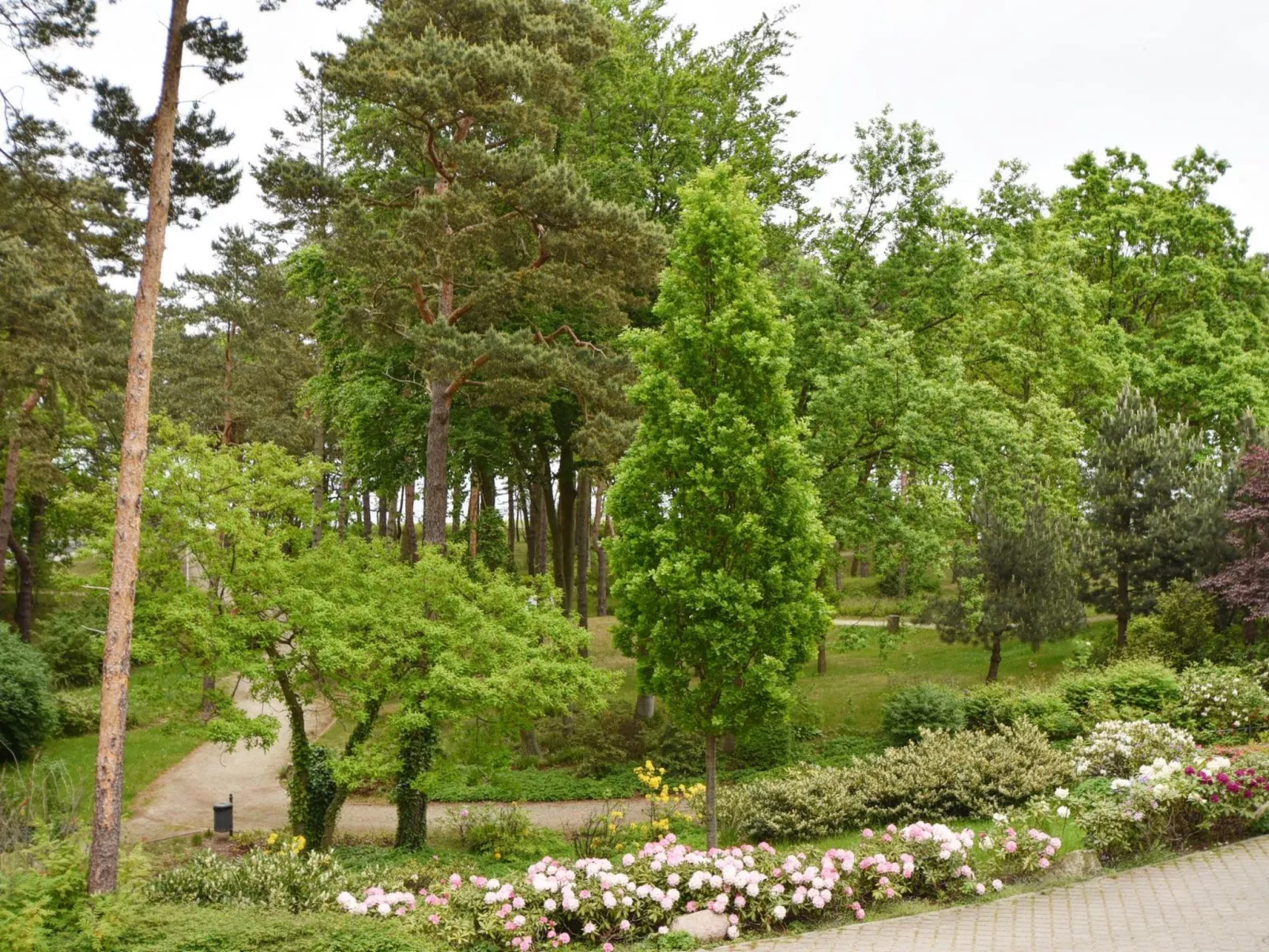  in Ostseebad Baabe - Image-tags.info