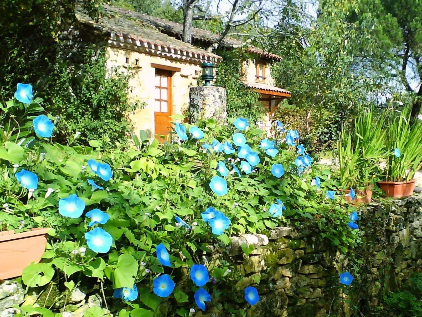 Domaine "Le Fournil" mit Jacuzzi - Buiten