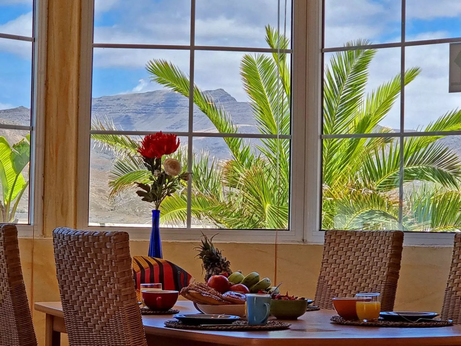 Casa Oasis - Image-tags.info