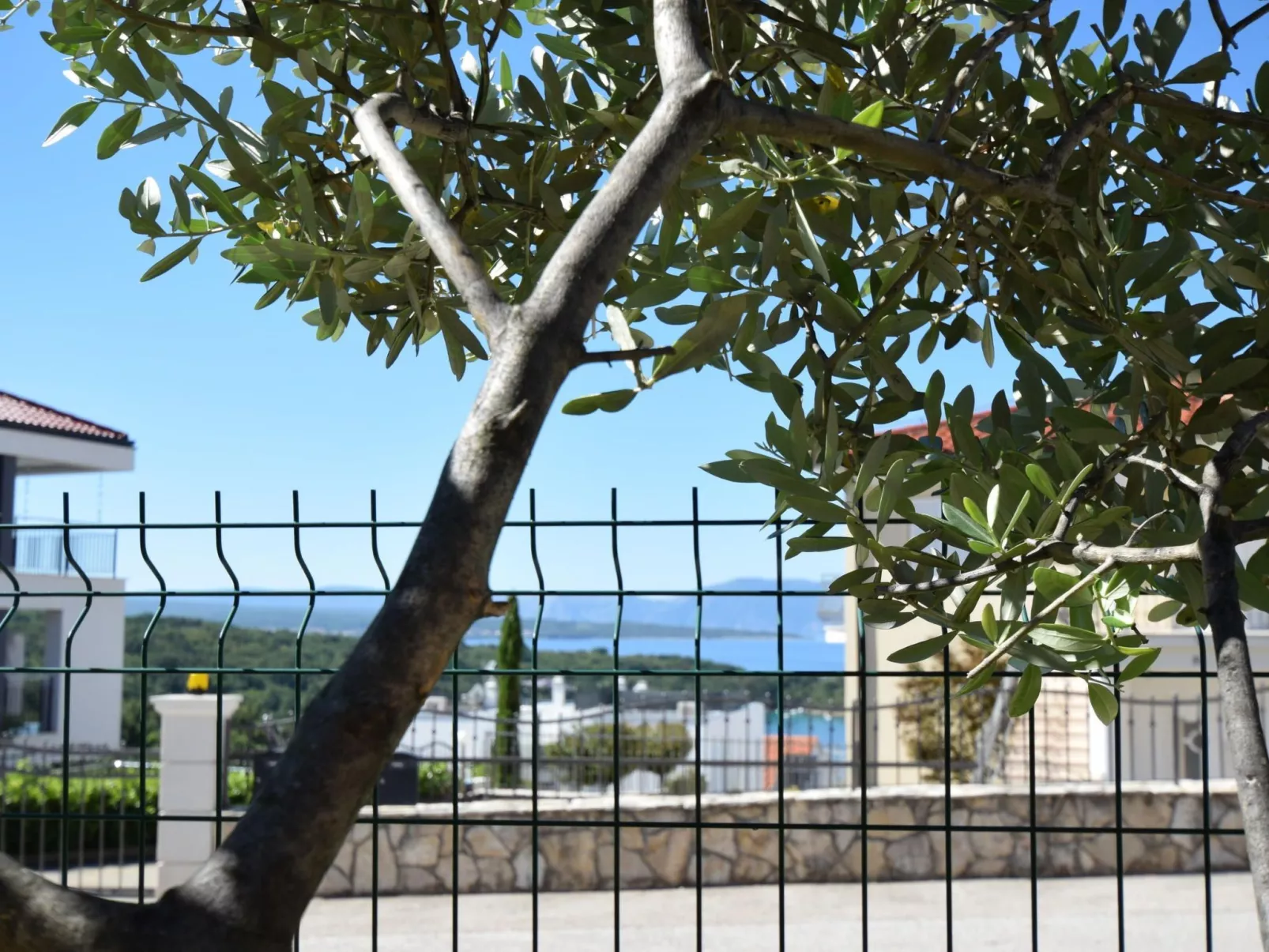 Marjolovic 2 - Image-tags.info