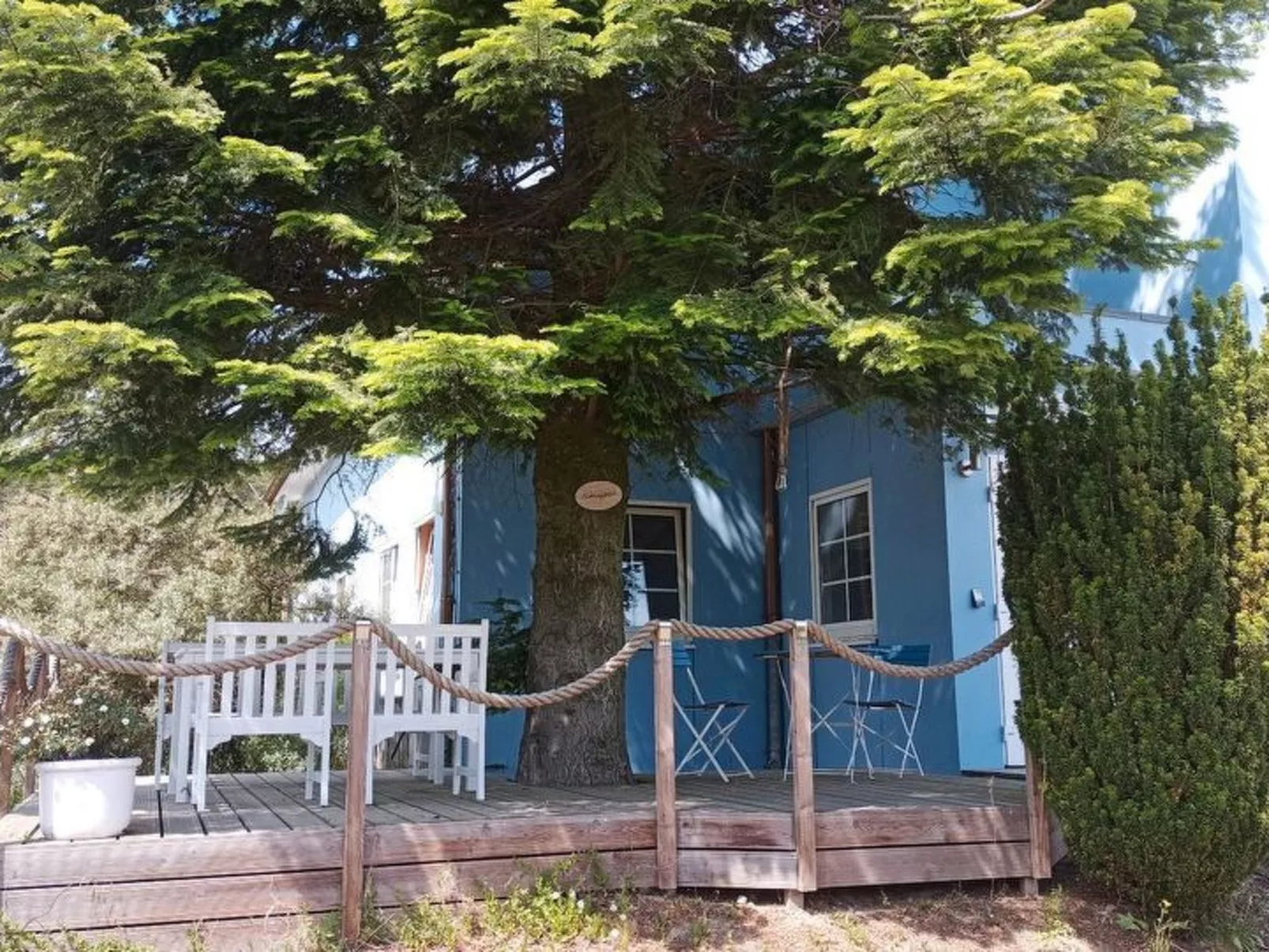 2 Personen  Hund willkommen - Image-tags.info