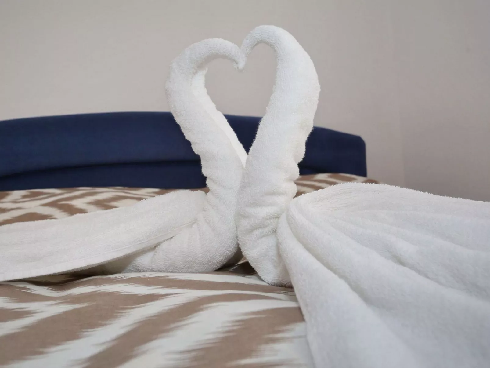 Apartment Marino 3 - Image-tags.info