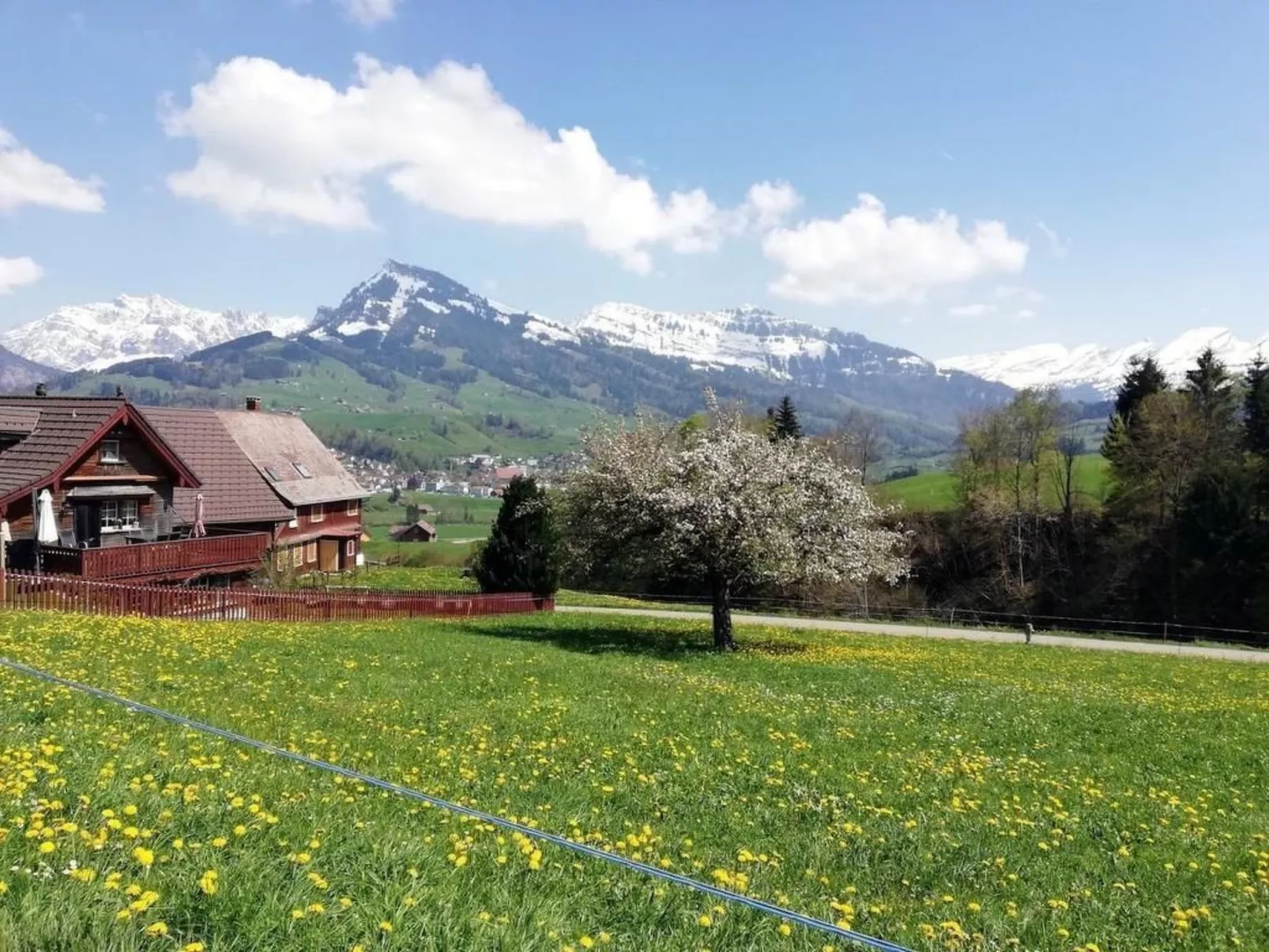 Gemütliche und geräumige Ferienwohnung - Buiten