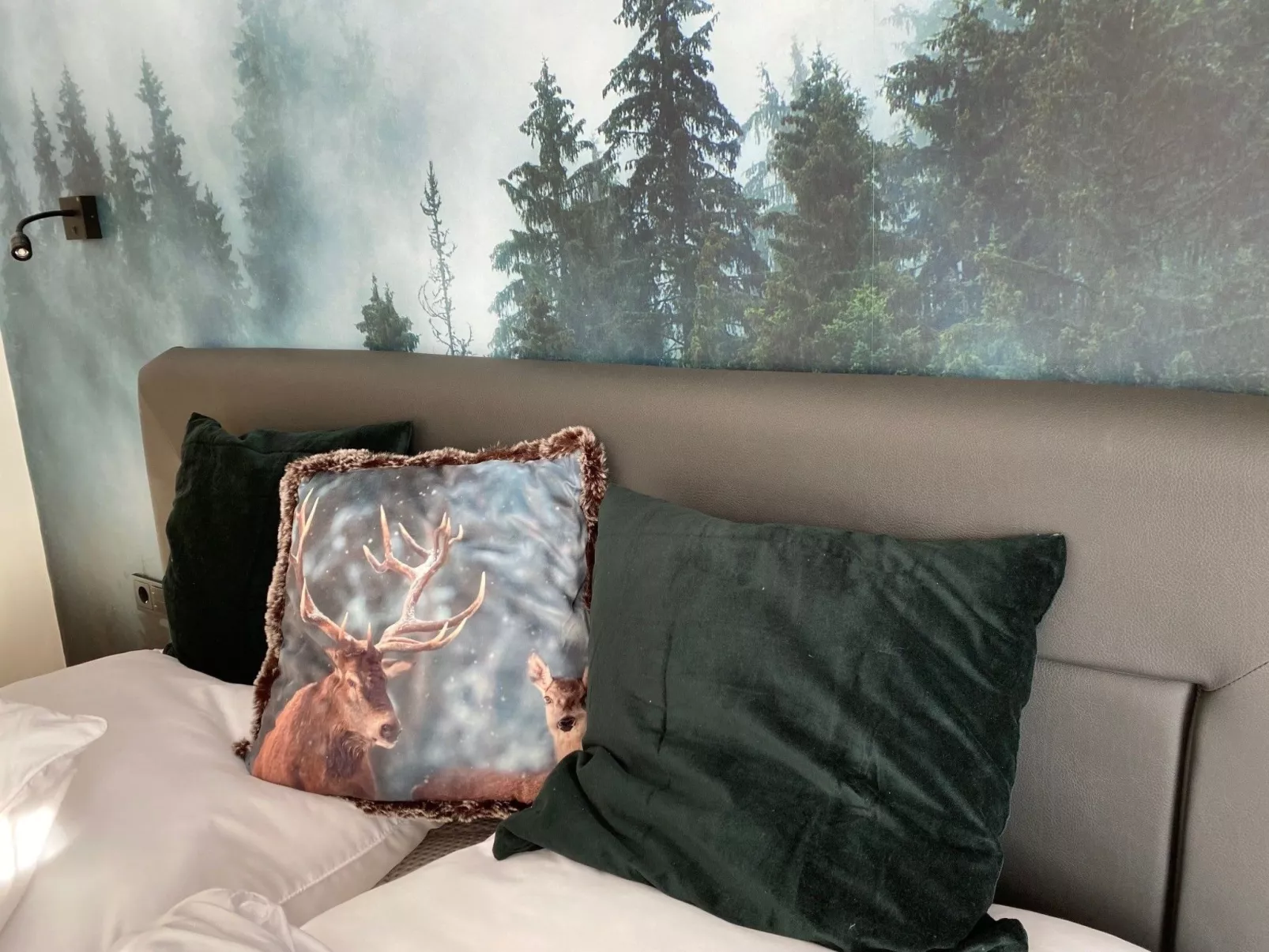 Frankenwald Lodge - Binnen