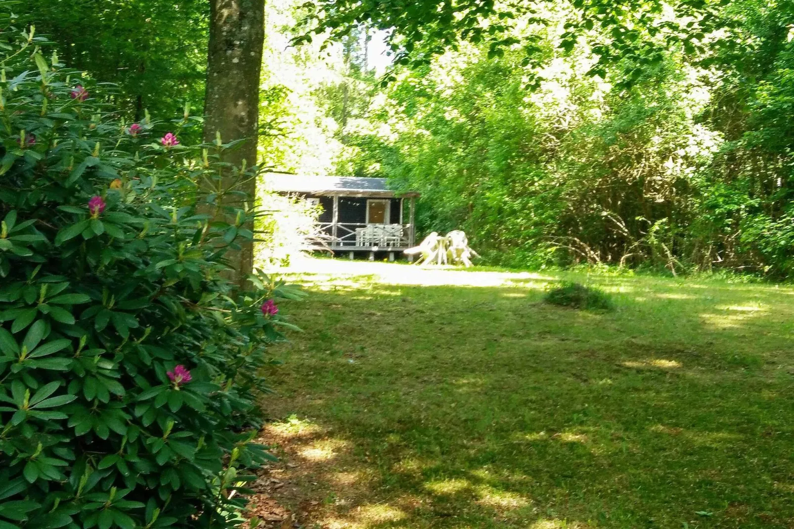 4 persoons vakantie huis in Silkeborg-By Traum-Uitzicht