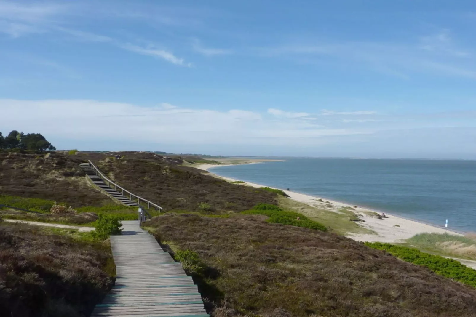 41327-Gebieden zomer 5km